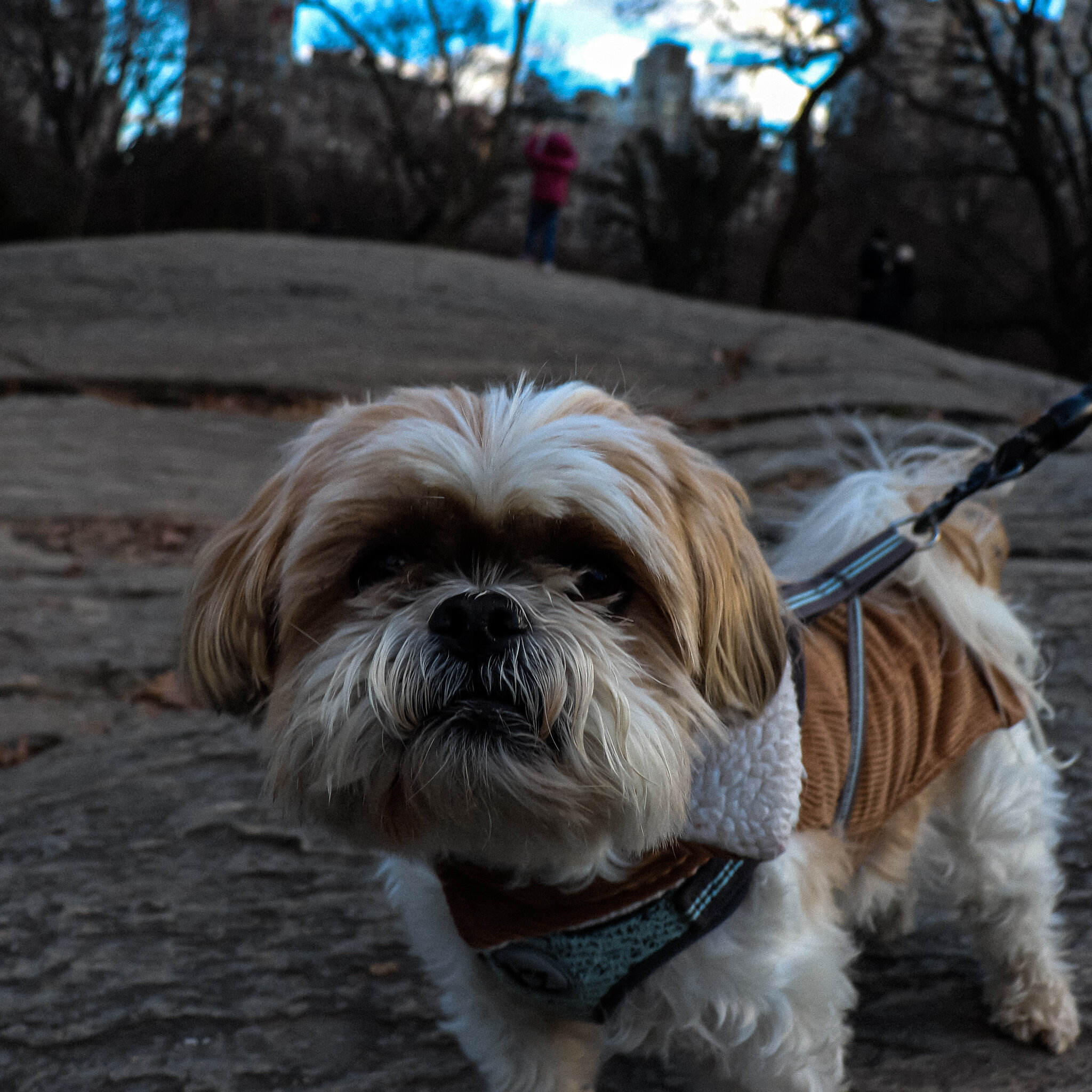 IMG_0369 NYC5.jpg