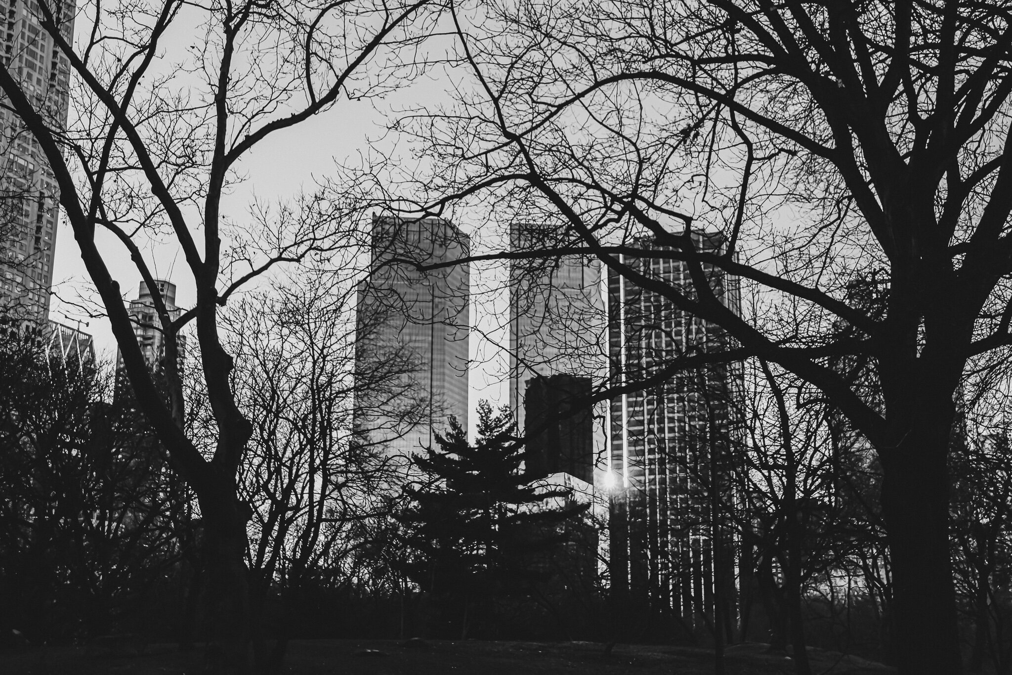 IMG_0493 NYC5.jpg