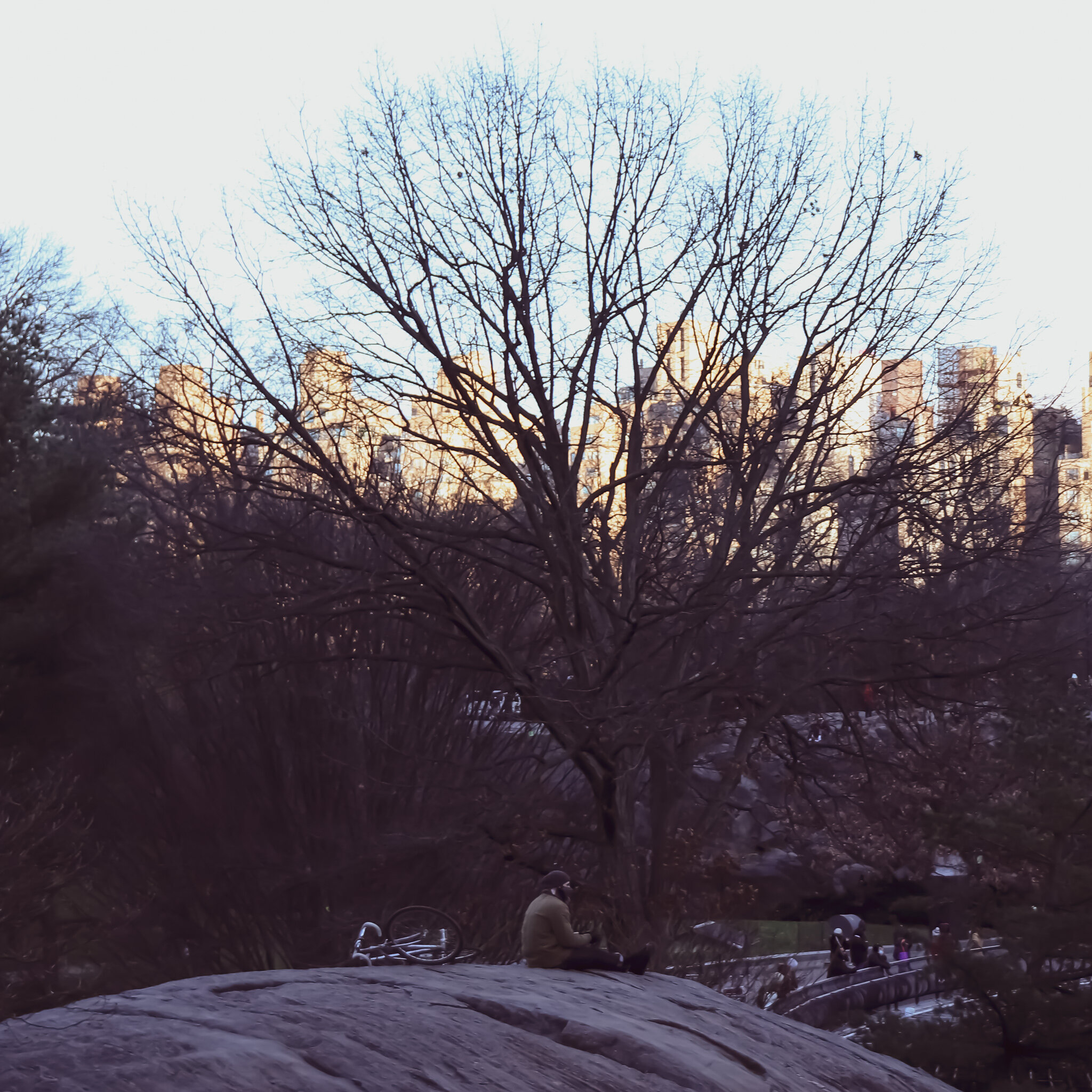 IMG_0498 NYC5.jpg