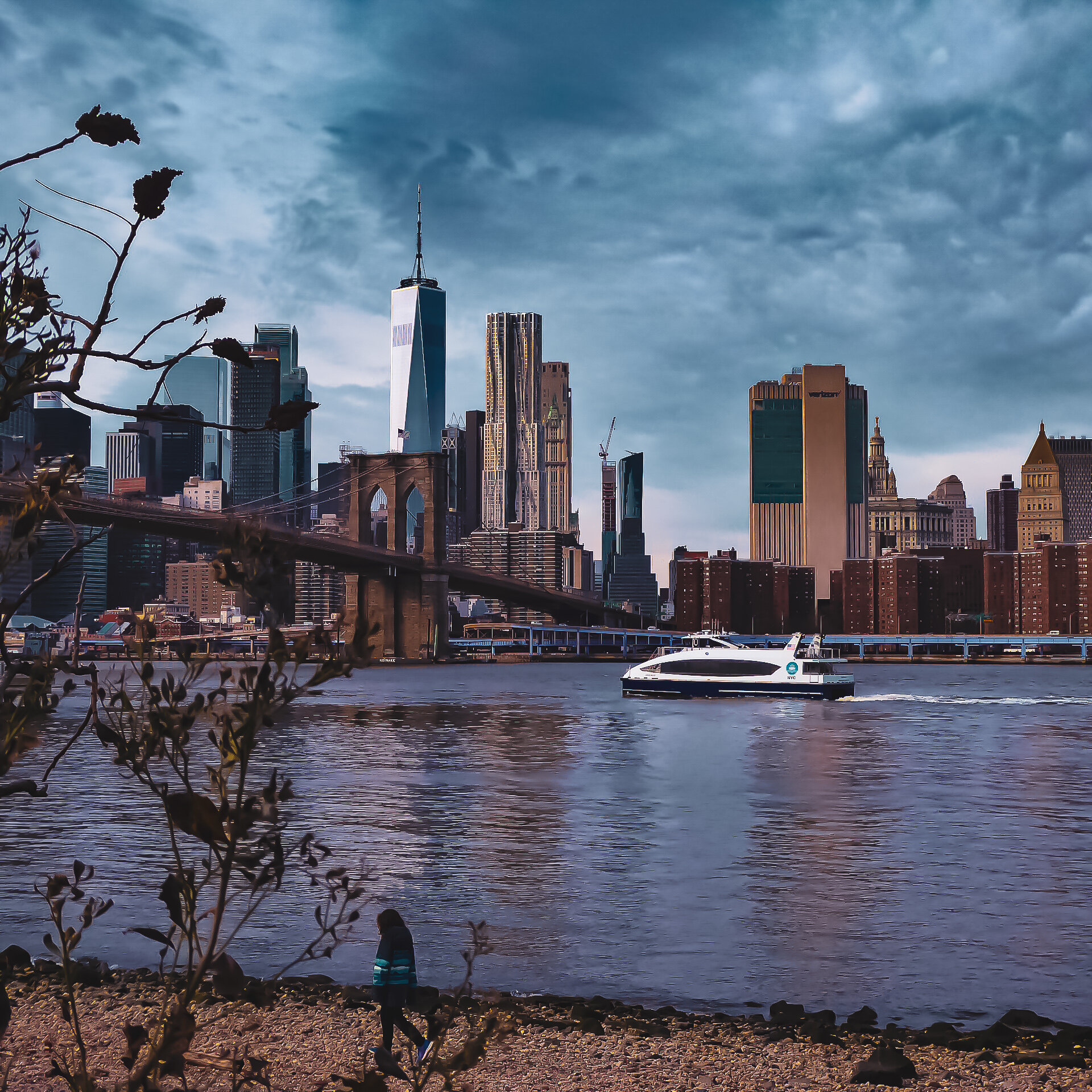 P1080060 NYC6.jpg
