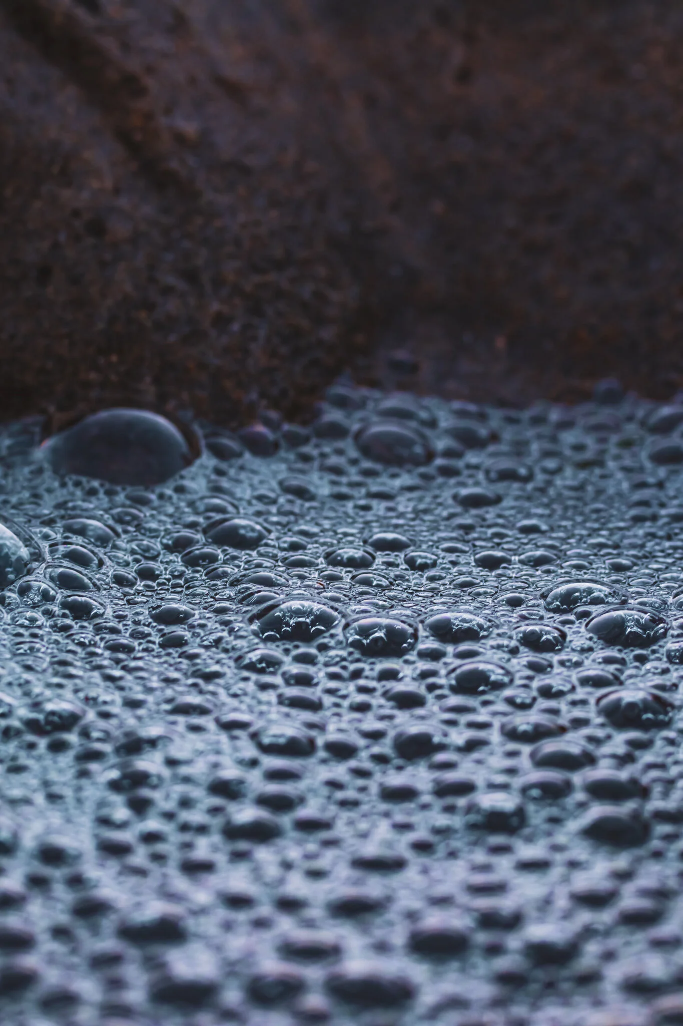 IMG_1640 SD MOONLIGHT.jpg