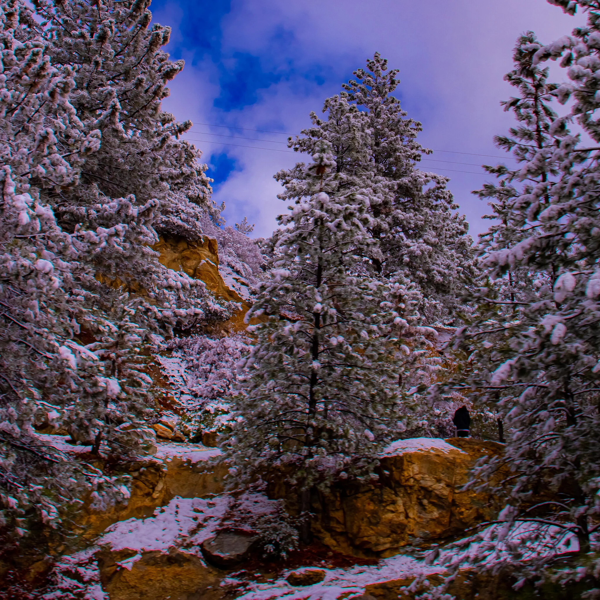 IMG_1770 IDYLLWILD.jpg