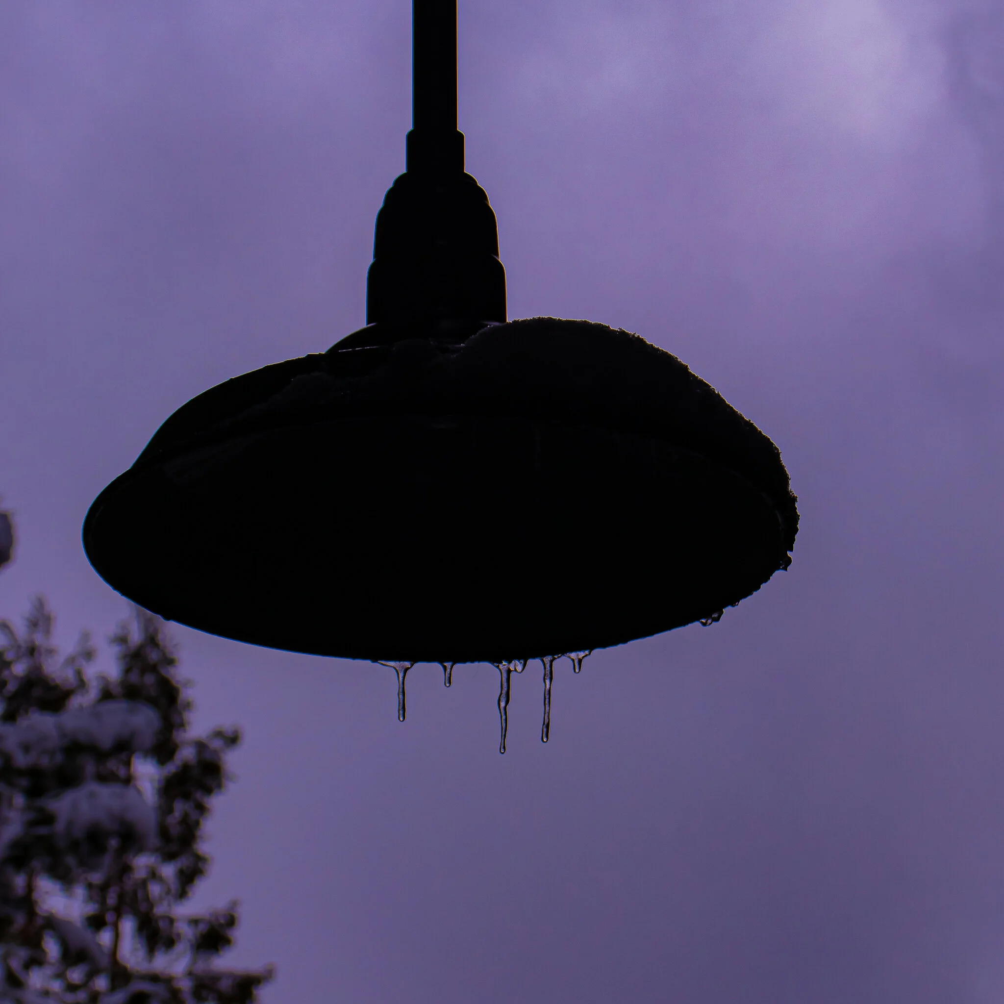 IMG_1795 IDYLLWILD.jpg