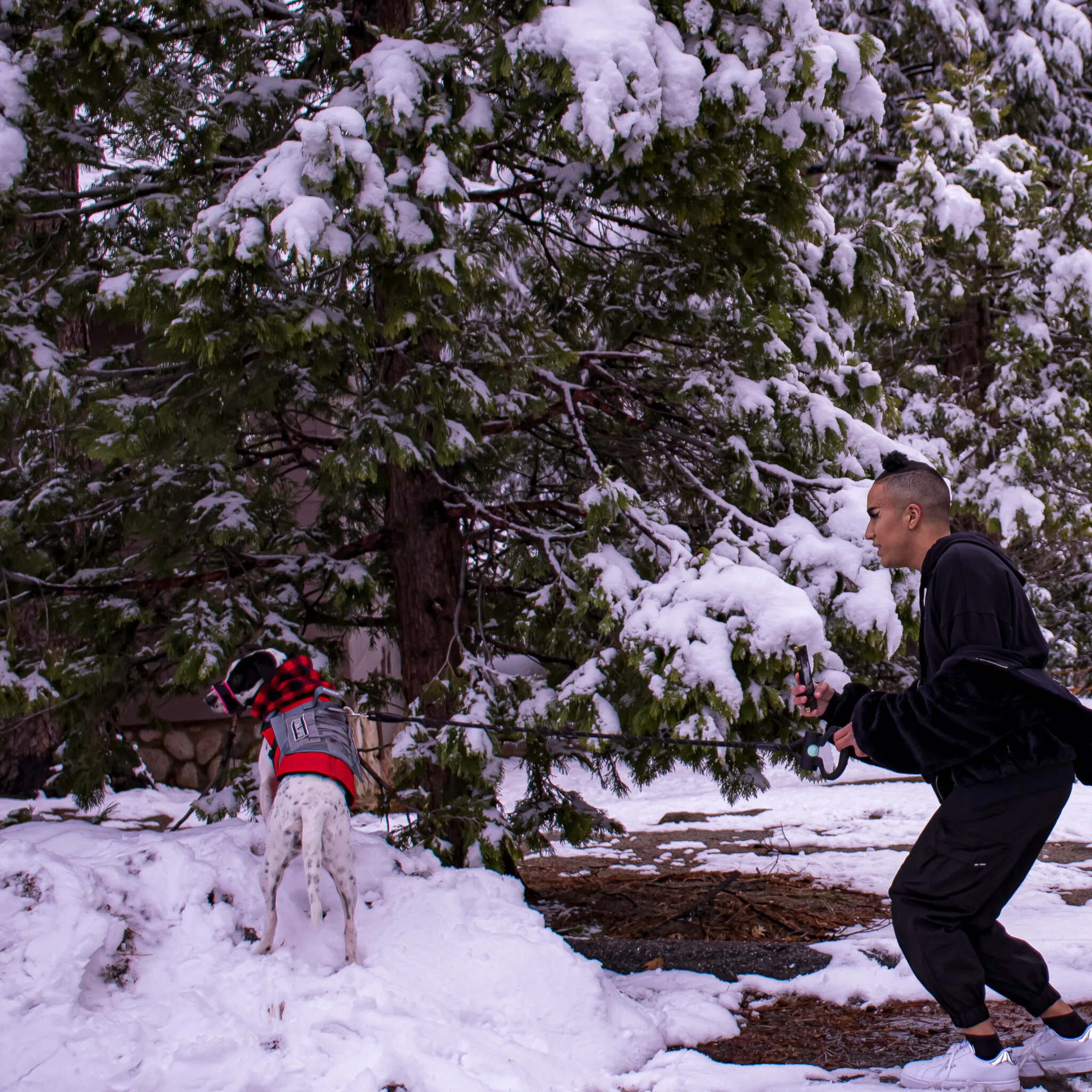 IMG_1857 IDYLLWILD USED WEEK #05 FONZ.jpg