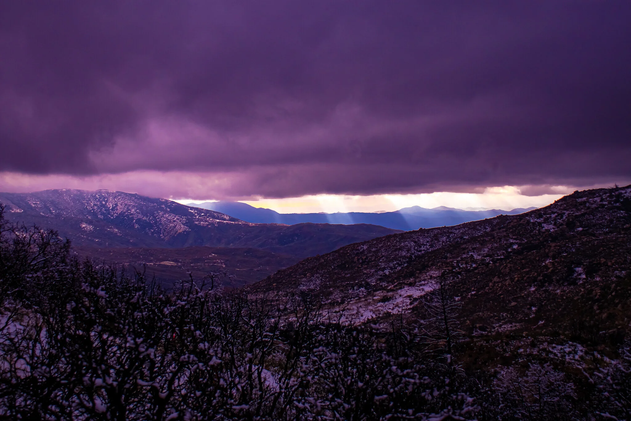 IMG_1933 IDYLLWILD.jpg