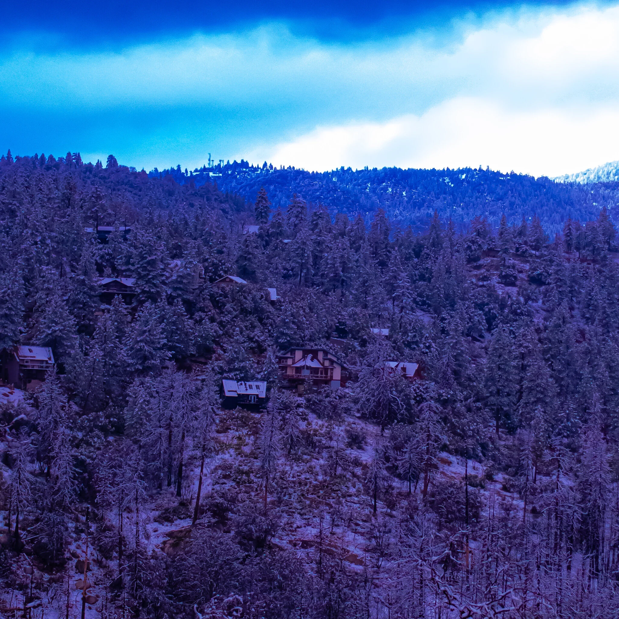 IMG_1925 IDYLLWILD.jpg