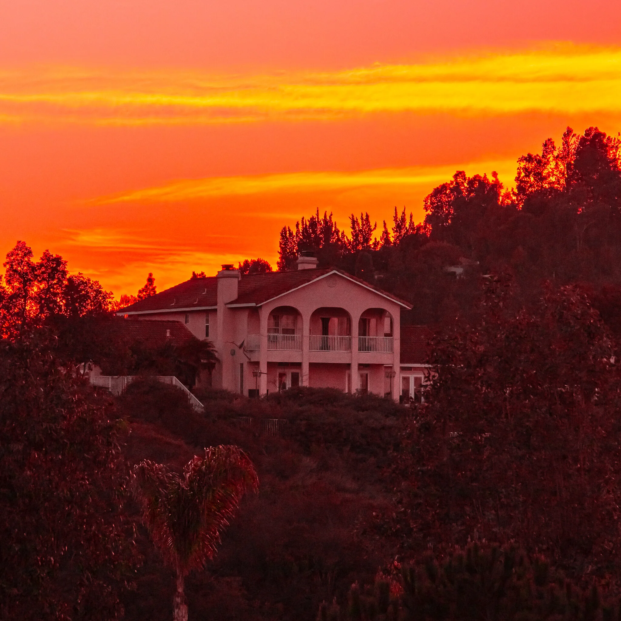 IMG_2555 TEMECULA DE LUZ USED WEEK #06 BIZ.jpg
