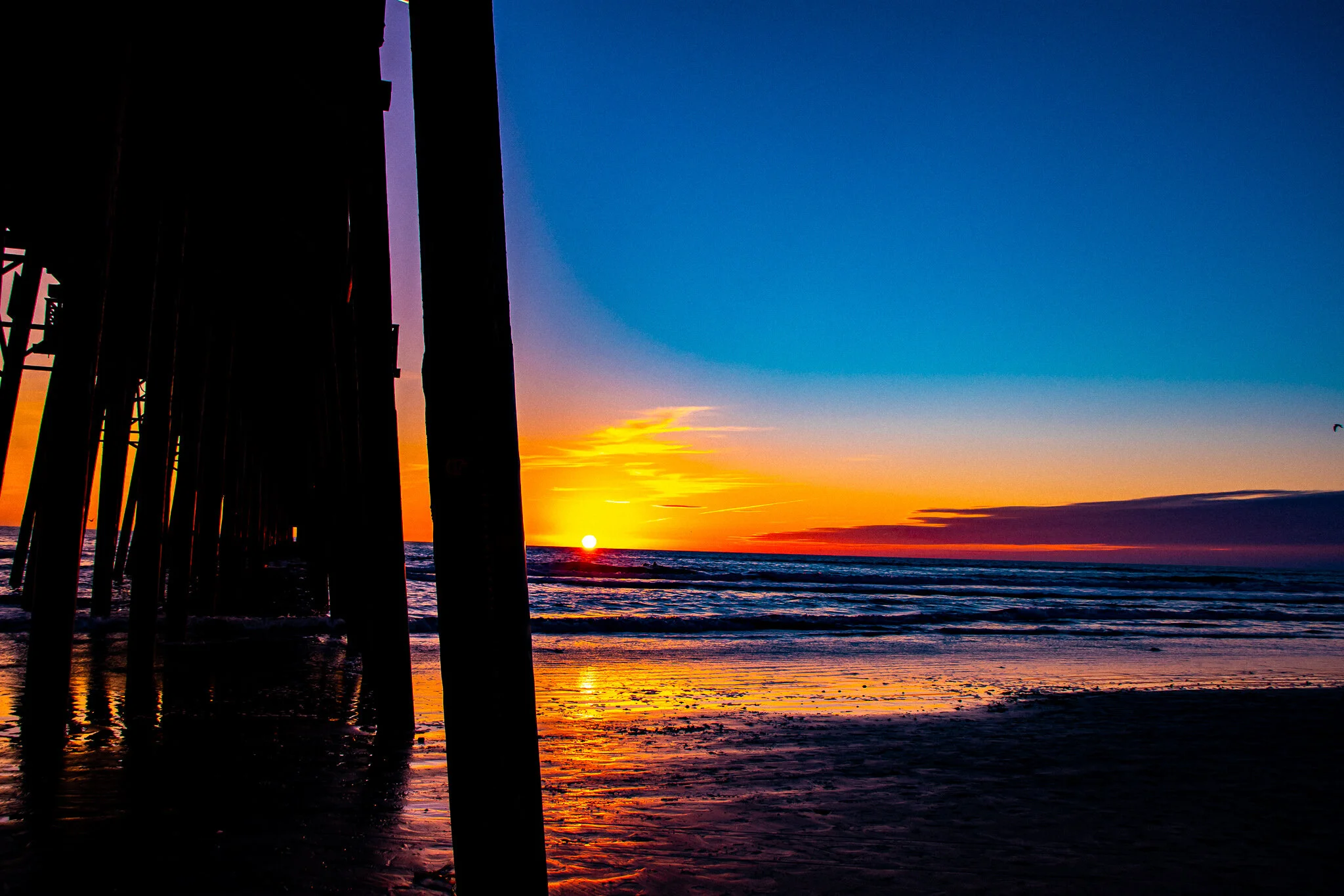 IMG_2066 OCEANSIDE.jpg