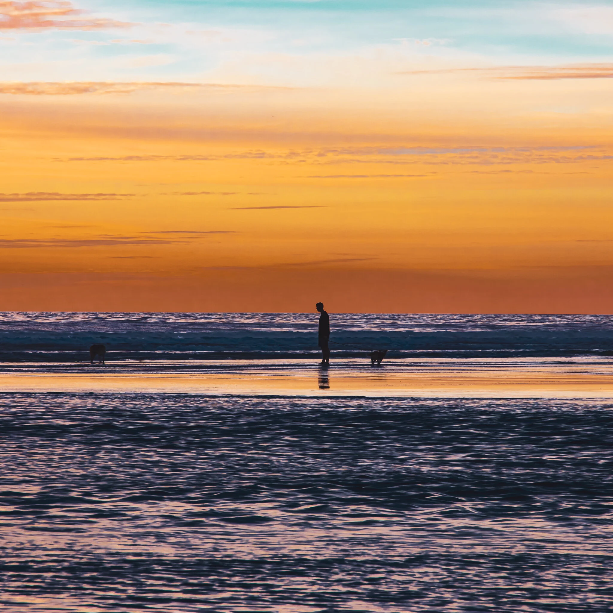 IMG_2467 DEL MAR SAN DIEGO.jpg