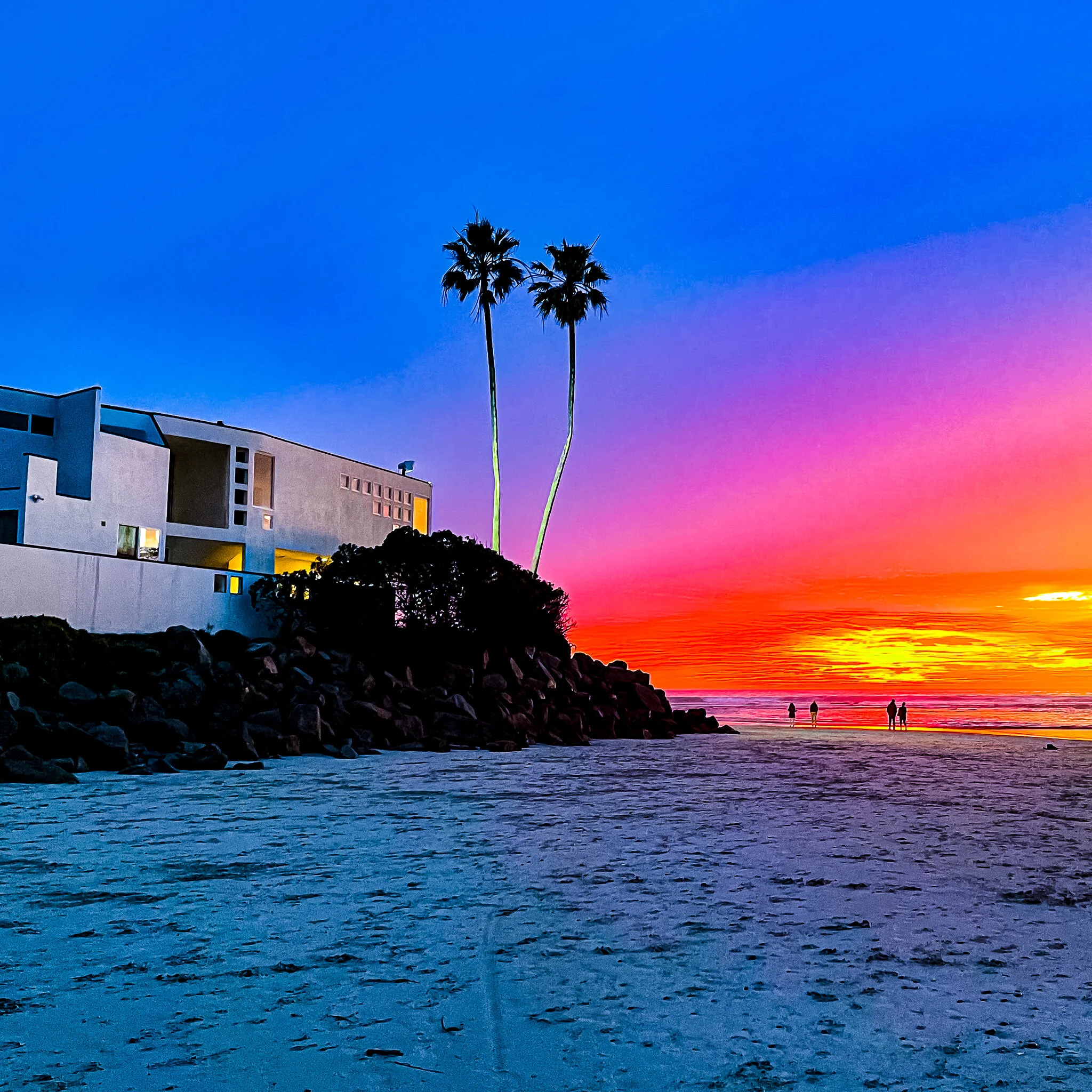 IMG_0116 DEL MAR USED WEEK #06 BIZ.jpg