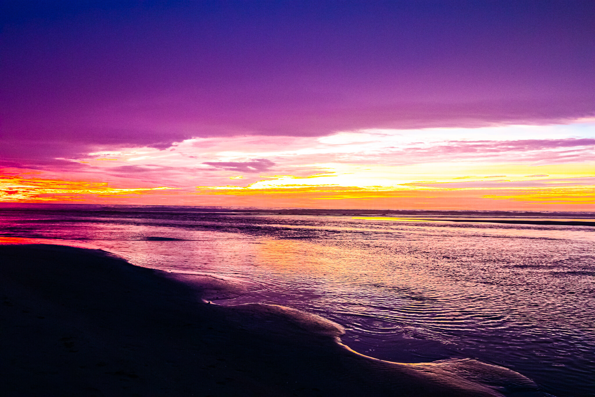 IMG_2527 DEL MAR SAN DIEGO.jpg