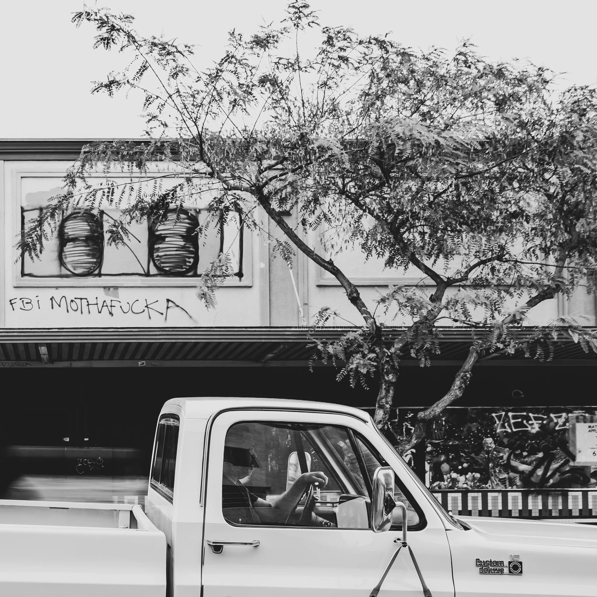 IMG_2363 NORTHPARK SAN DIEGO.jpg