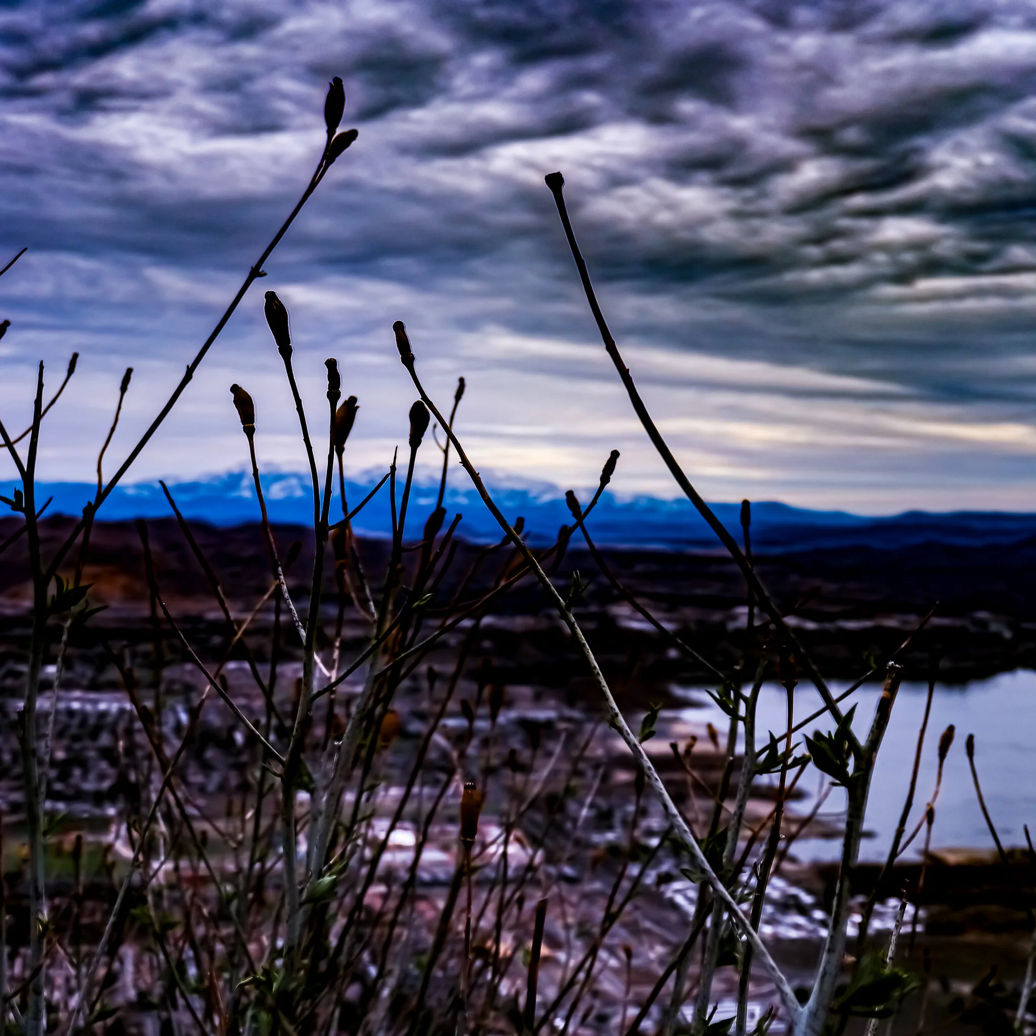IMG_2155 LAKE ELSINORE.jpg