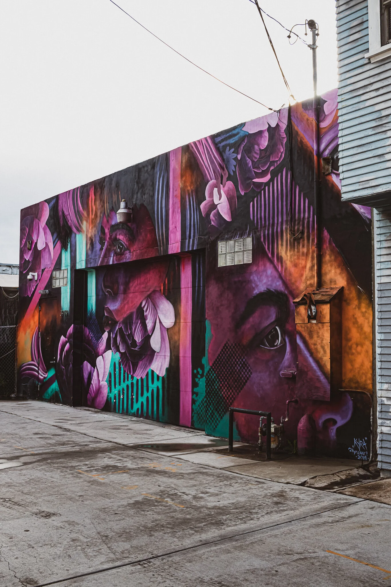 IMG_1385 SAN DIEGO NORTHPARK.jpg