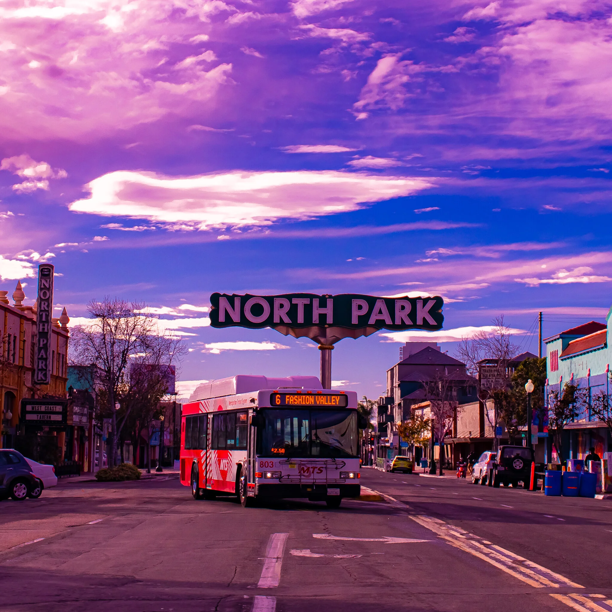 IMG_1398 SAN DIEGO NORTHPARK.jpg