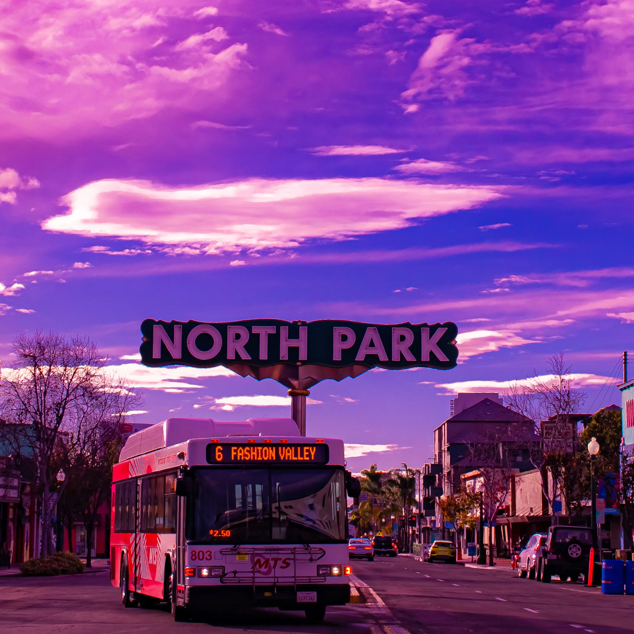 IMG_1399 SAN DIEGO NORTHPARK USED WEEK #4 FONZ.jpg