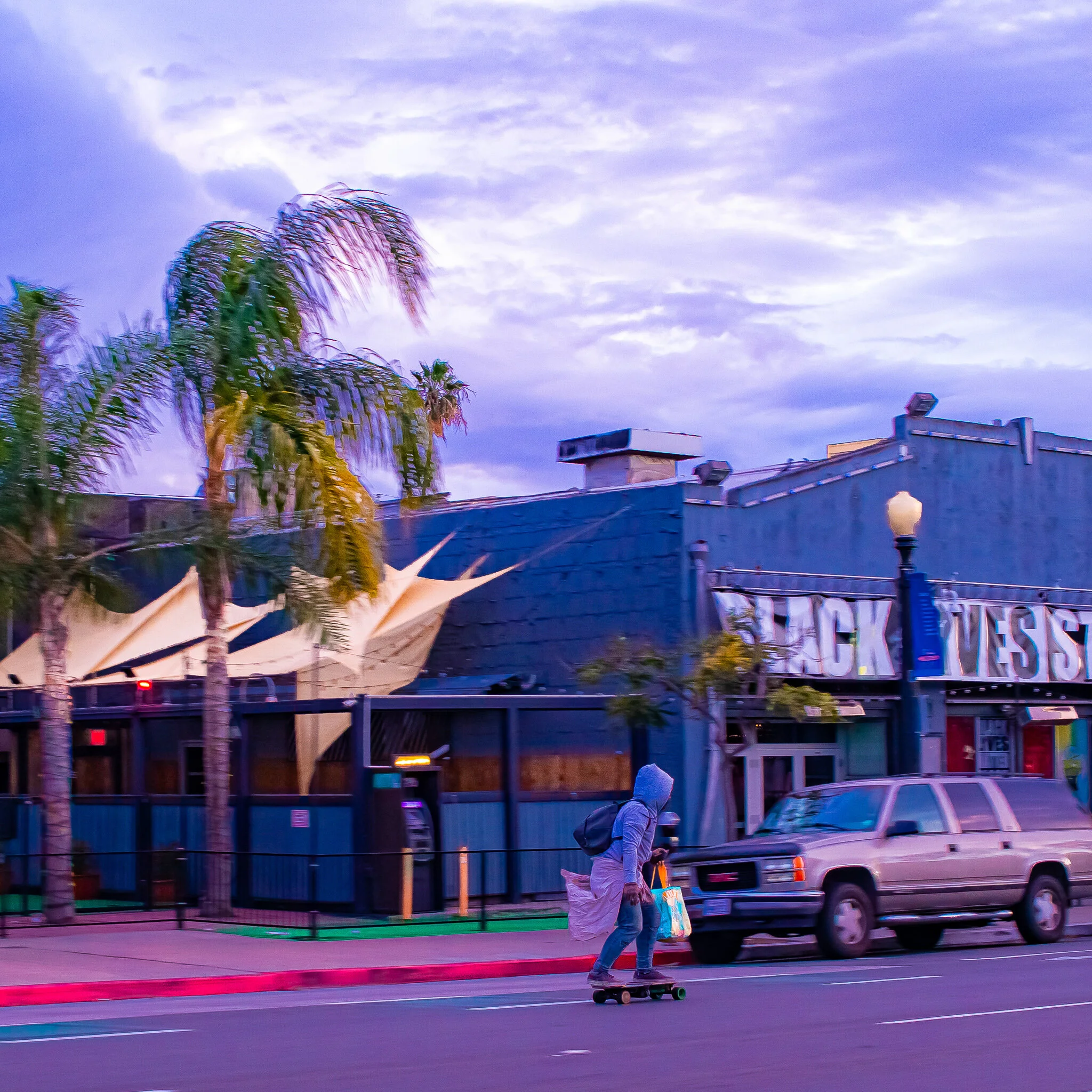 IMG_1407 SAN DIEGO NORTHPARK.jpg