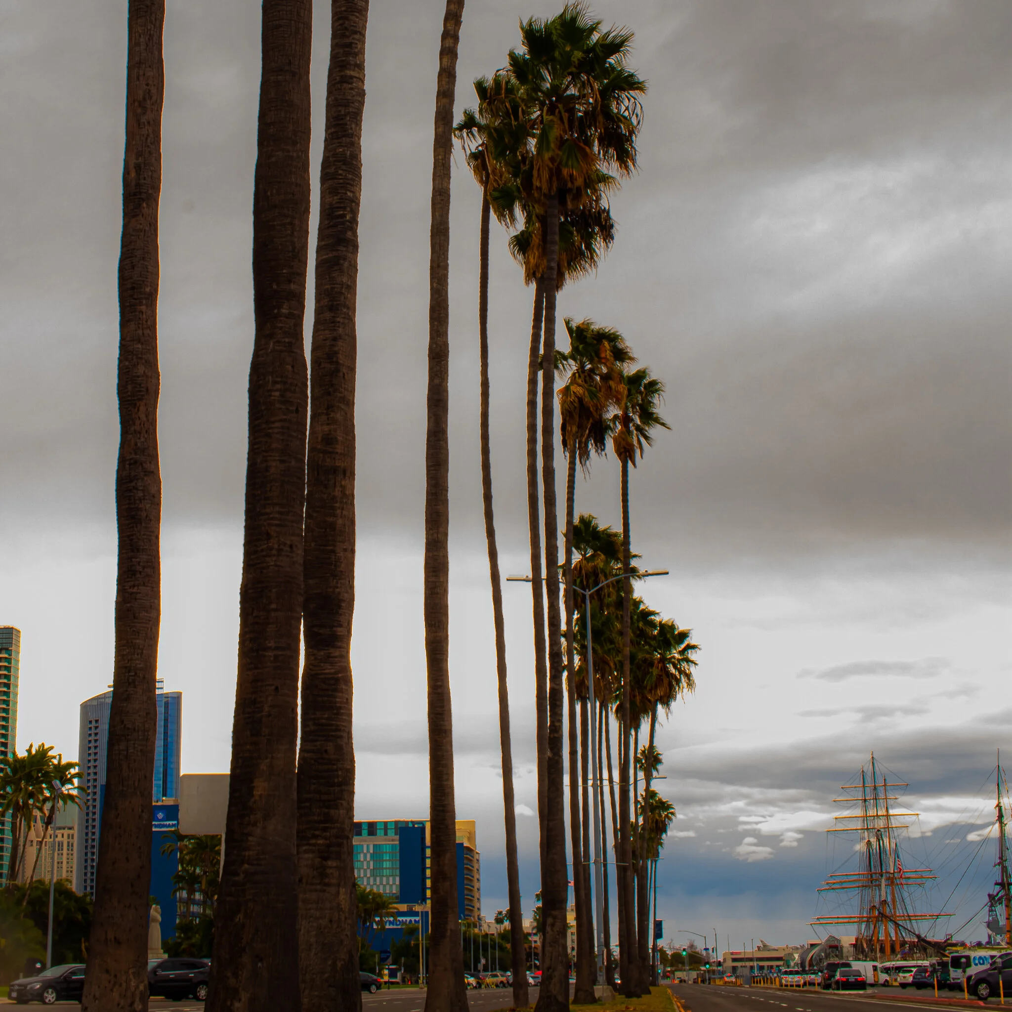 IMG_1282 SAN DIEGO-2 HARBOR.jpg