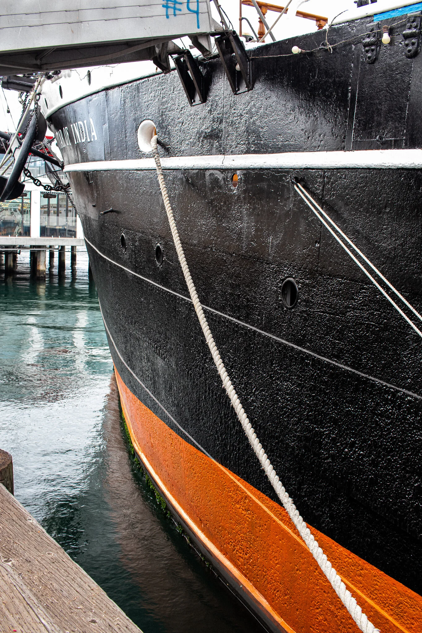 IMG_1345 SAN DIEGO HARBOR.jpg