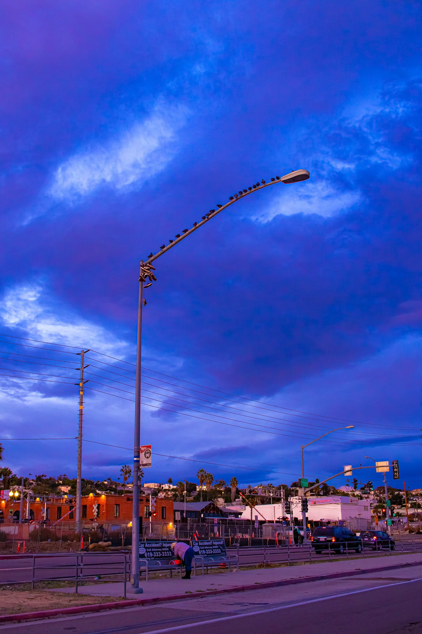IMG_1447S SAN DIEGO HARBOR.jpg
