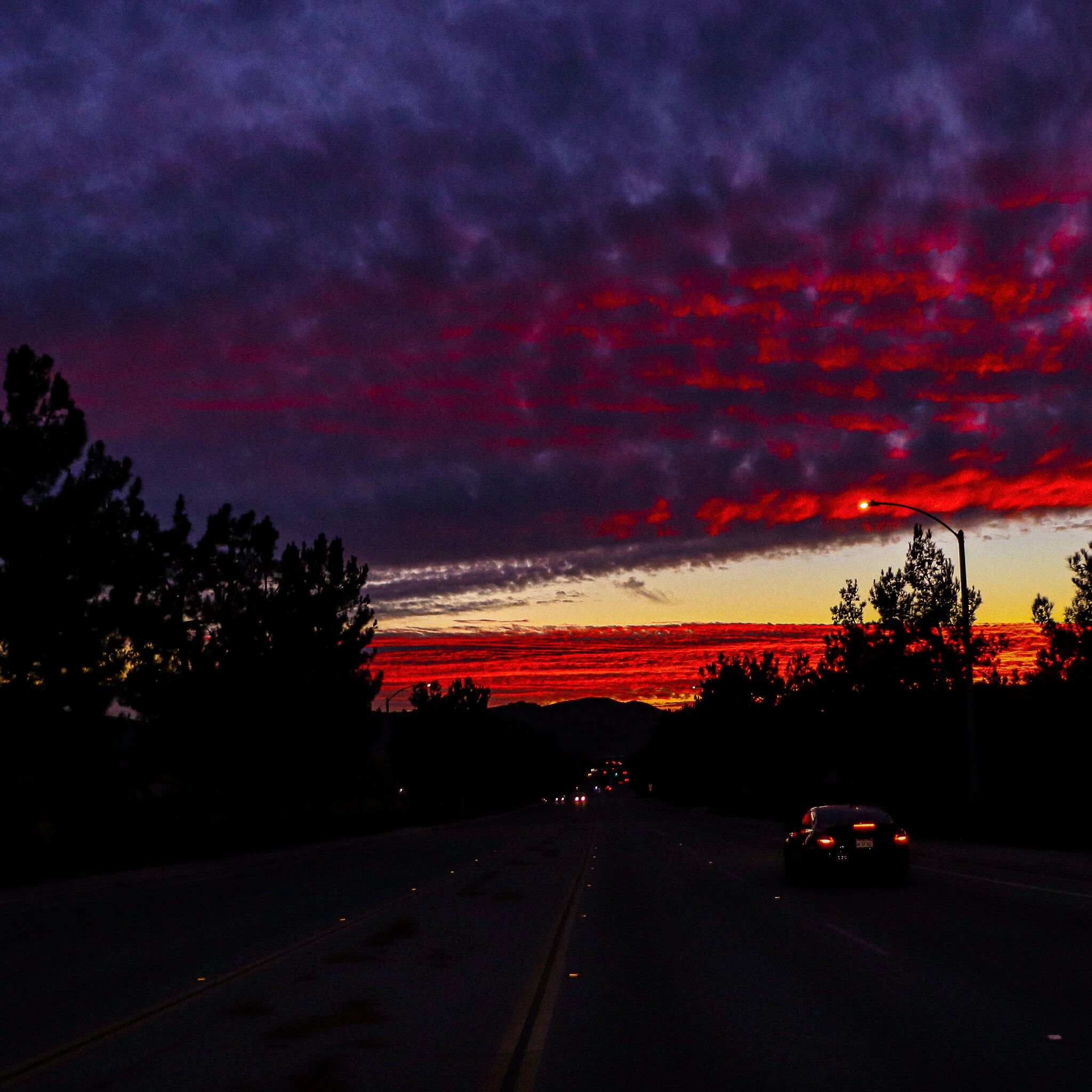 USED WEEK #51 IMG_8948 MURRIETA.jpg