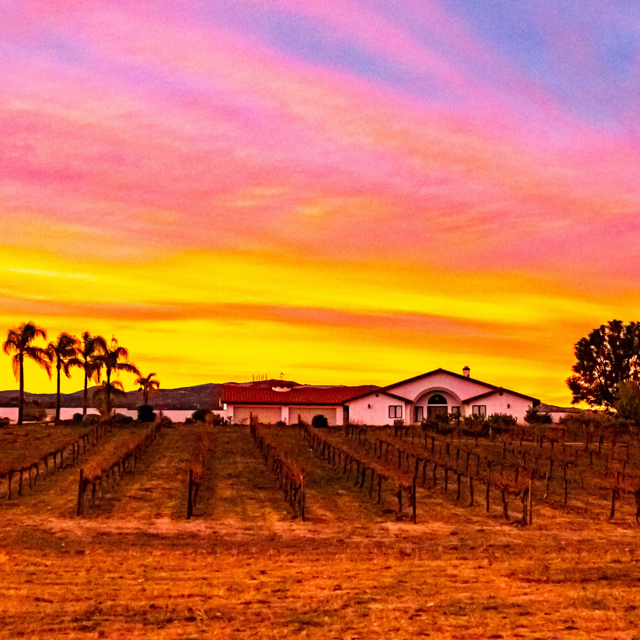 IMG_2668 LA CRESTA.jpg