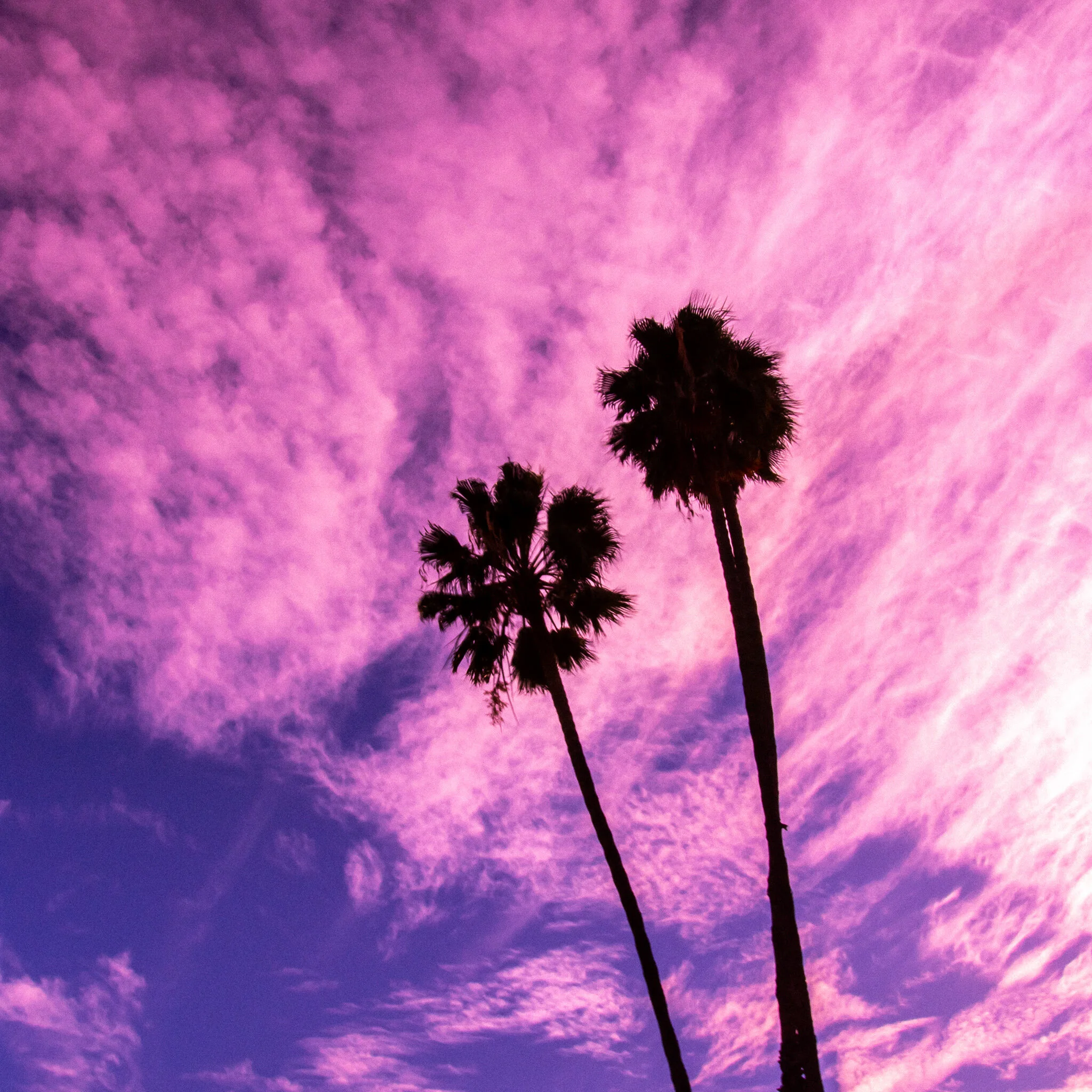 IMG_2635 HEMET.jpg