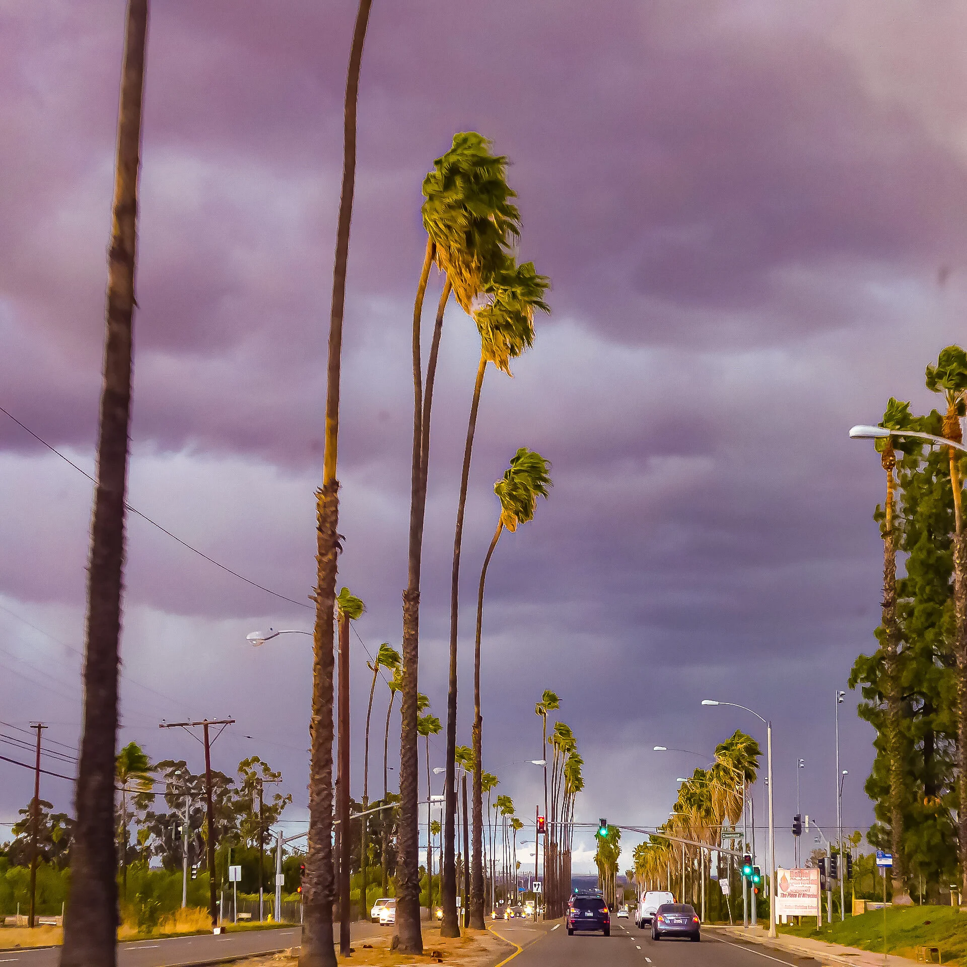 P1080287 RIVERSIDE.jpg