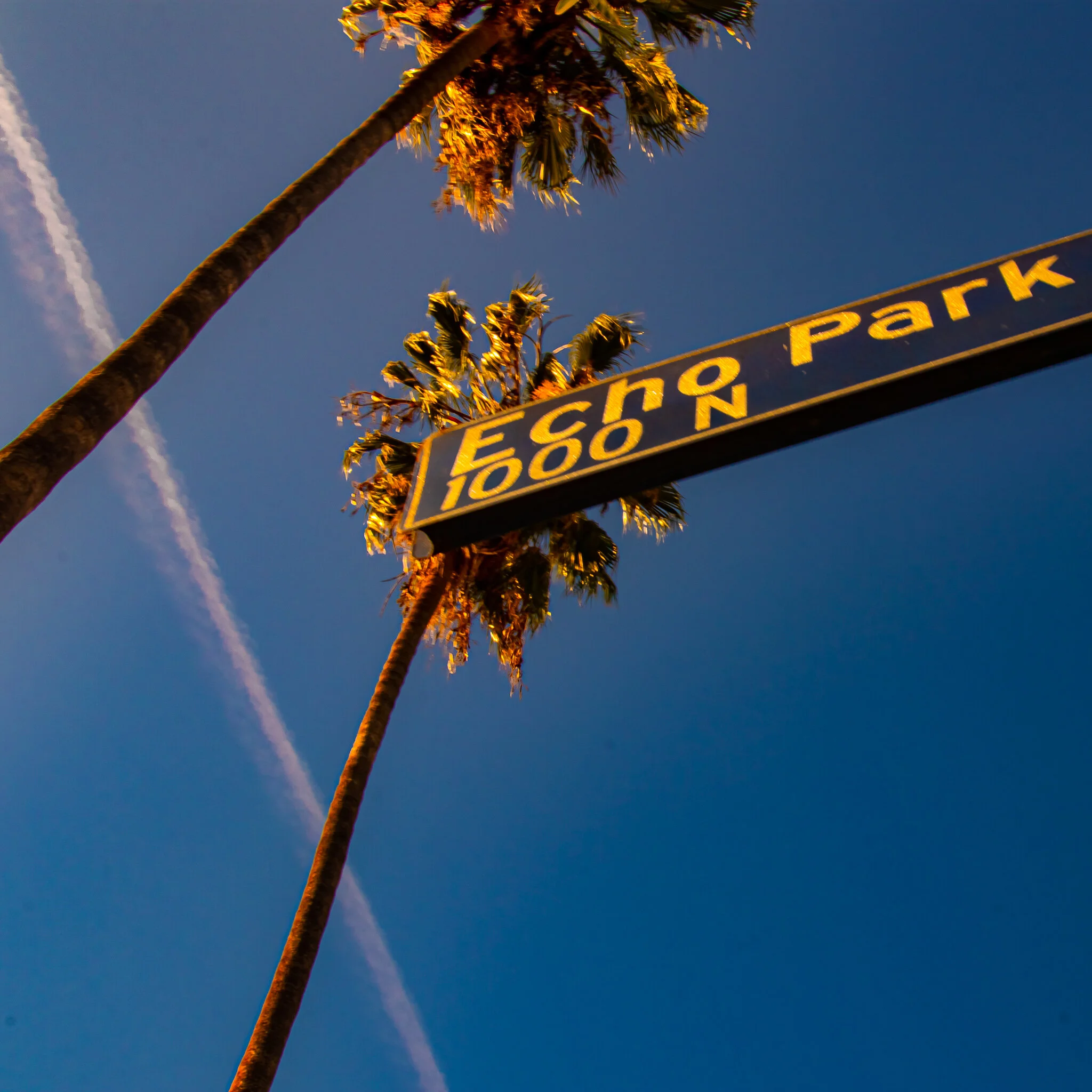 IMG_2939 ECHO PARK USED WEEK #07 FONZ.jpg