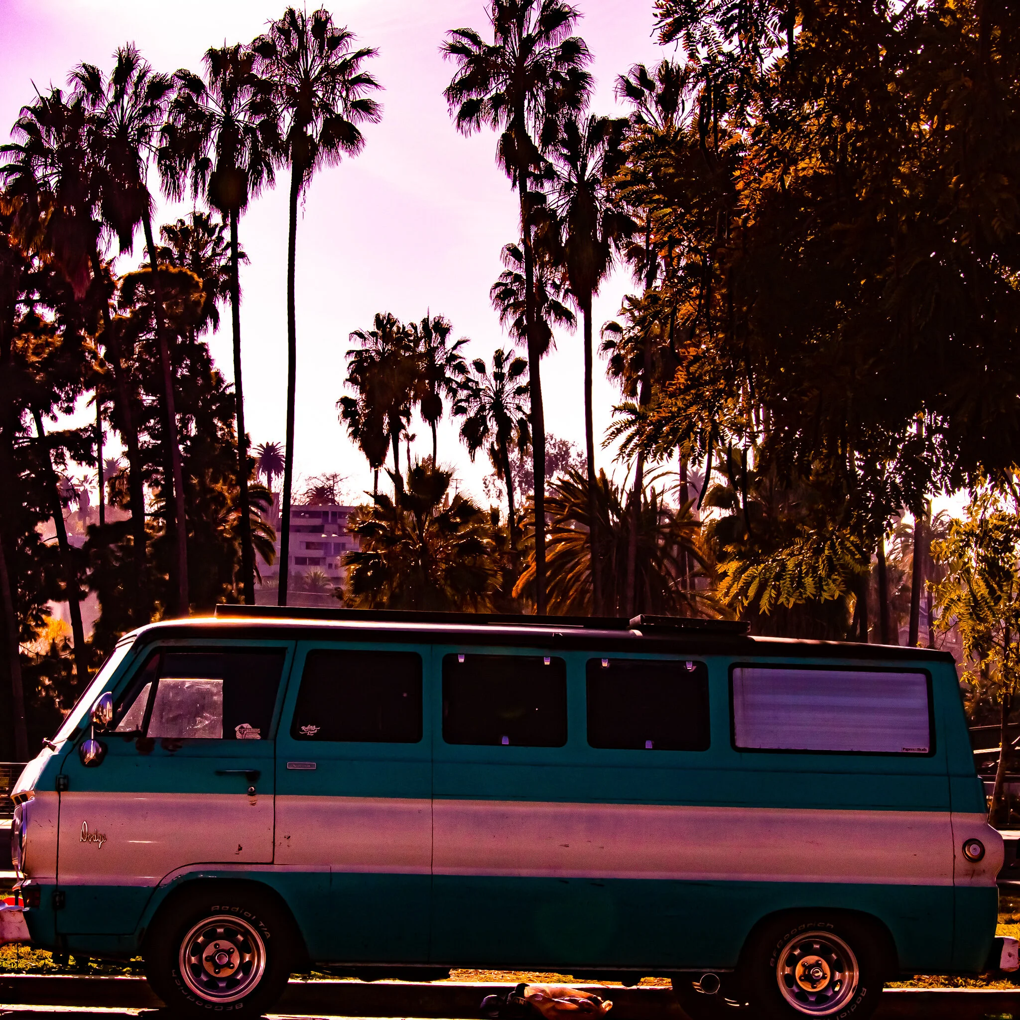 IMG_2952 ECHO PARK-2.jpg