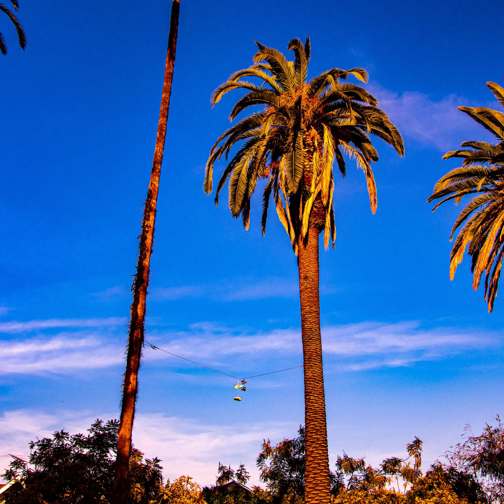 IMG_2983 ECHO PARK.jpg