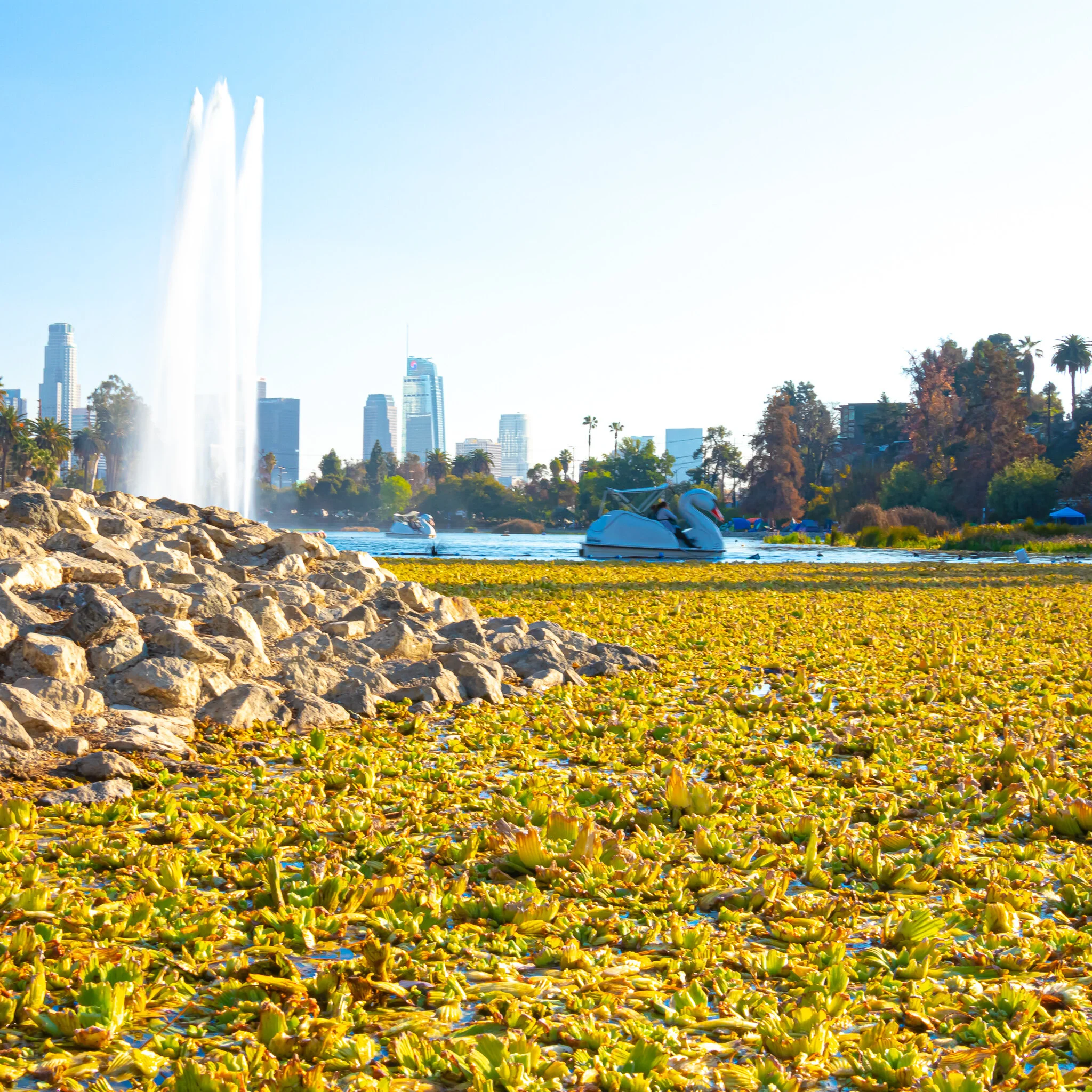IMG_2993 ECHO PARK.jpg