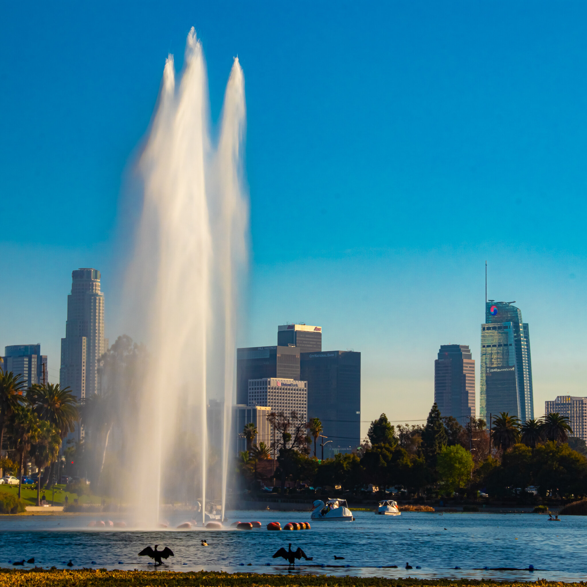IMG_3001 ECHO PARK.jpg