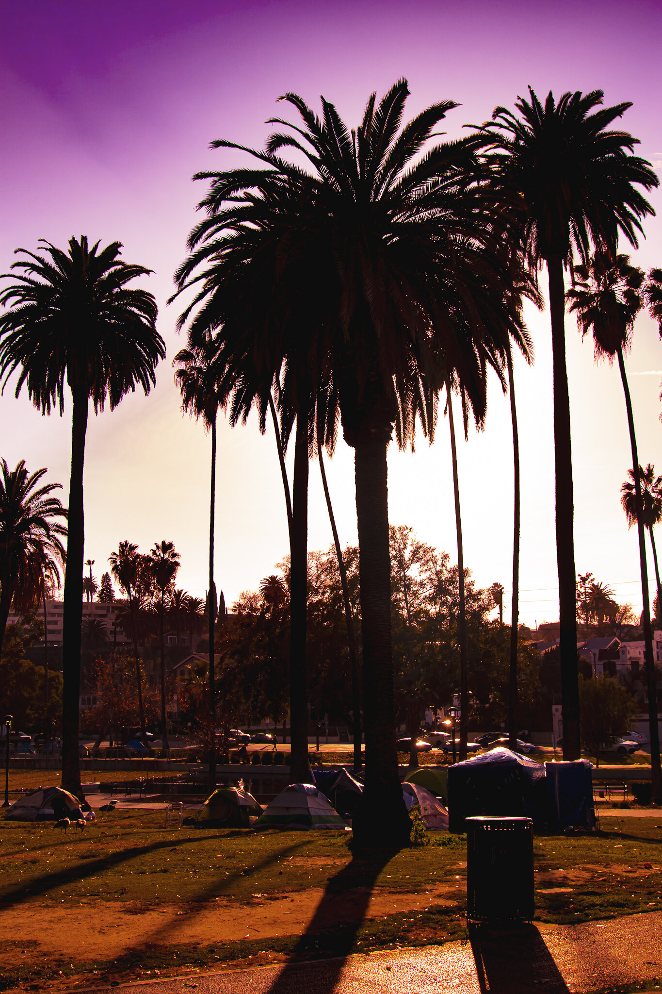IMG_3015 ECHO PARK GRIME.jpg
