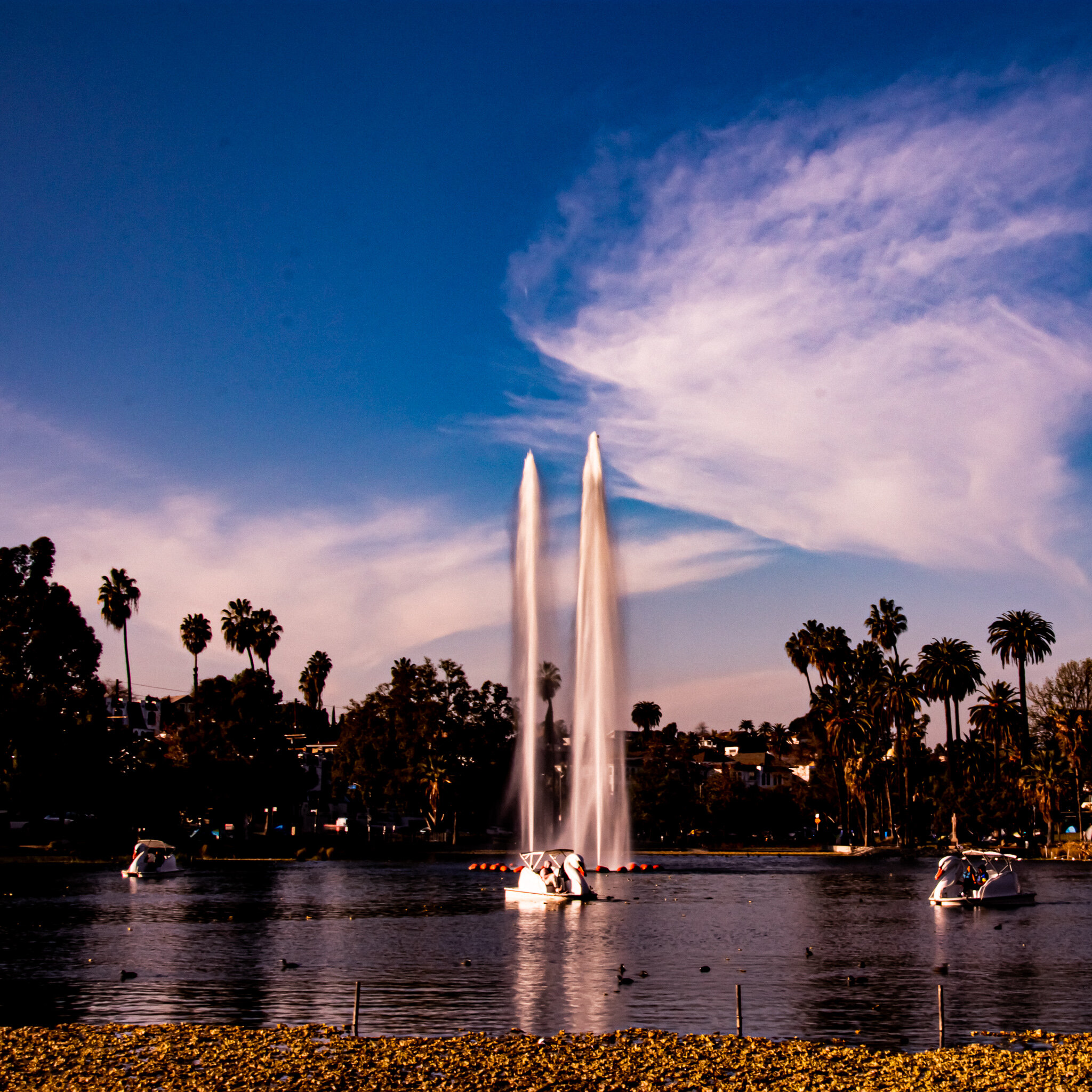 IMG_3043 ECHO PARK.jpg