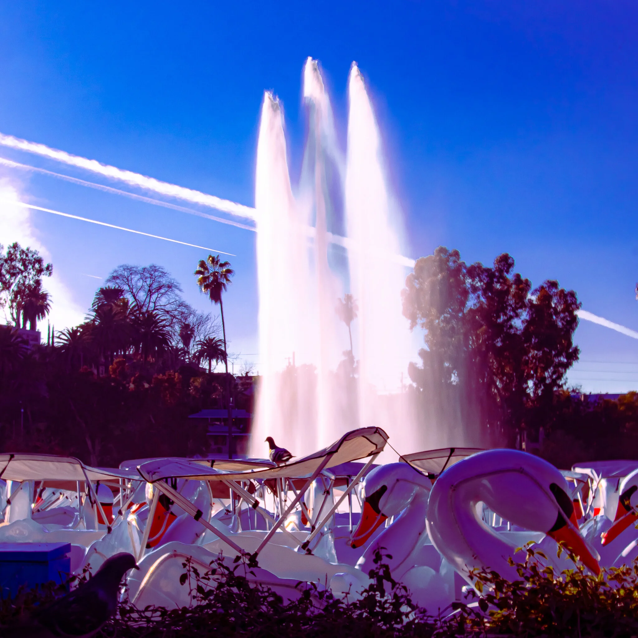 IMG_3067 ECHO PARK.jpg