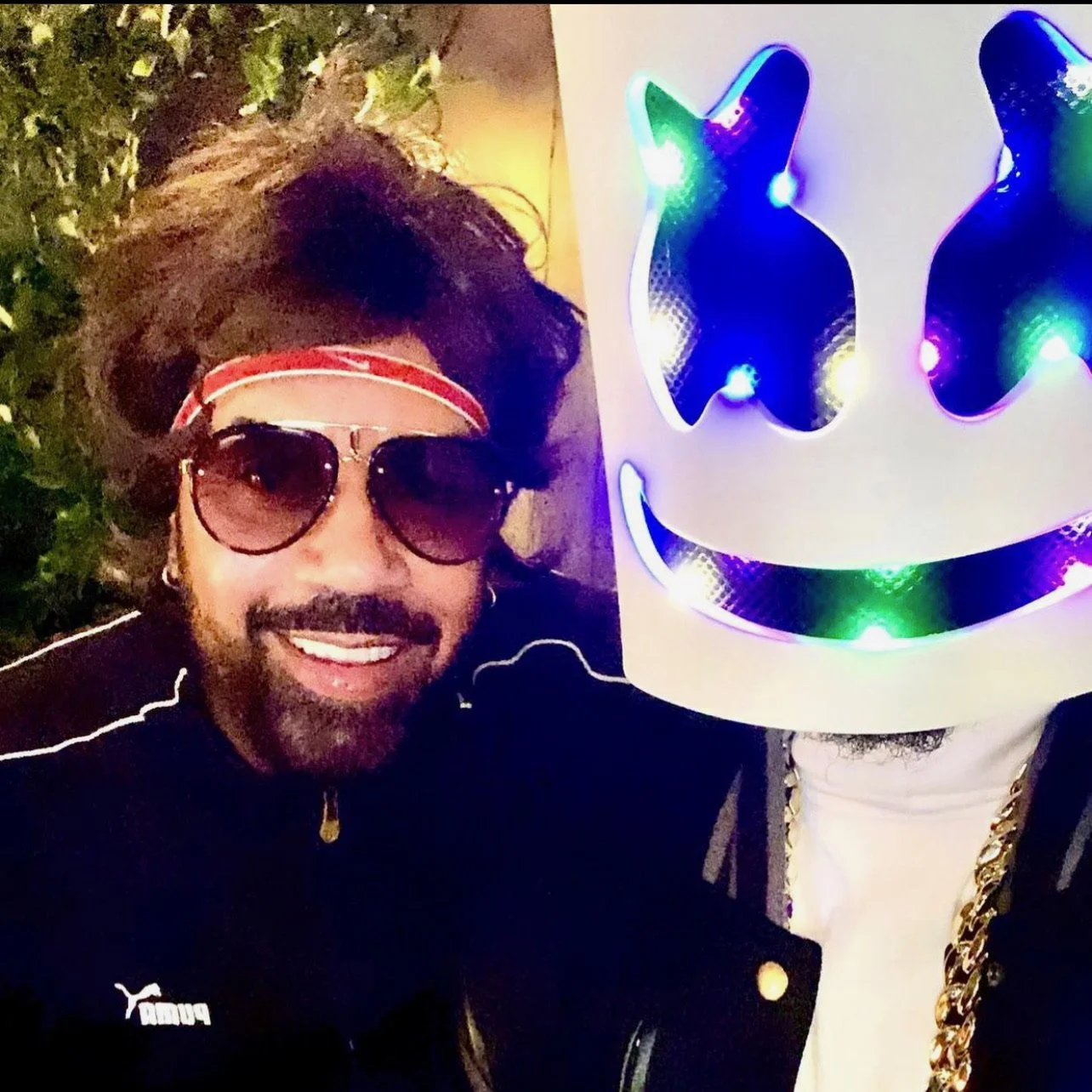 BLACKBIRD HALLOWEEN.JPG