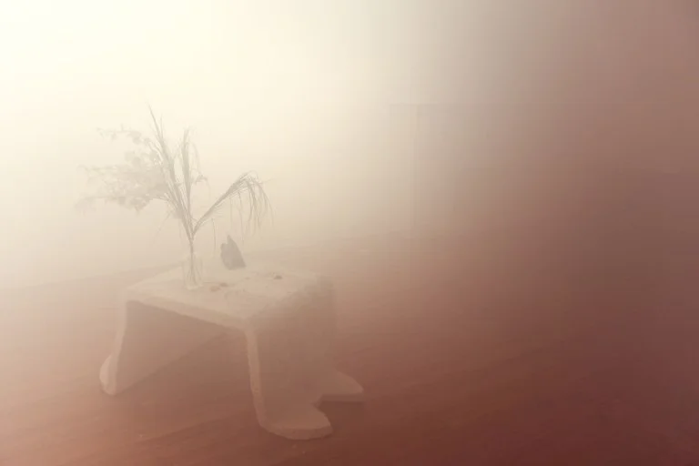 Nobody's Home.jpg