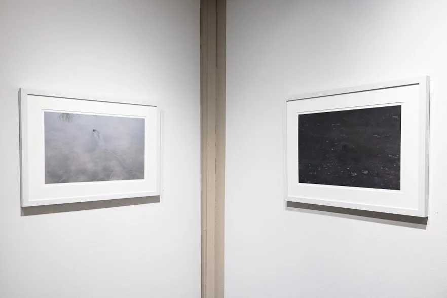 Nancy Fewkes, Site A, Spring Lake, 2.17 and Site A, Spring Lake, 12.16 , archival digital ink jet print. These images face each other in the corner of the room. In “Site A, Spring Lake, 2.17,” the water is white and cloudy. In “Site A, Spring Lake, 12.16,” it is black with white speckles.Image courtesy of Lucas Stiegman.