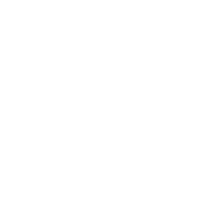 NA-Neuro-KeyAreas-stress-2.png
