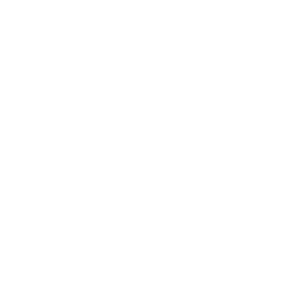 NA-Neuro-KeyAreas-optimise-2.png