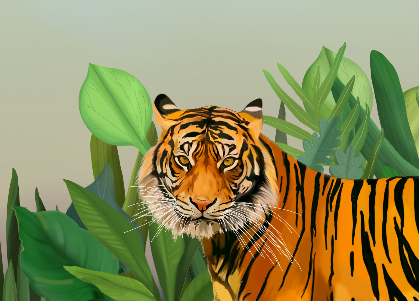 mz_tiger_01.jpg