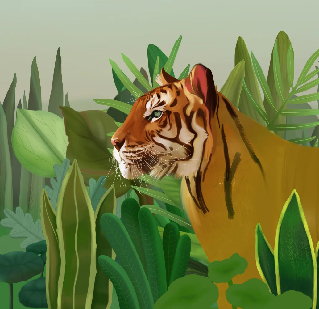 mz_tiger_02.jpg