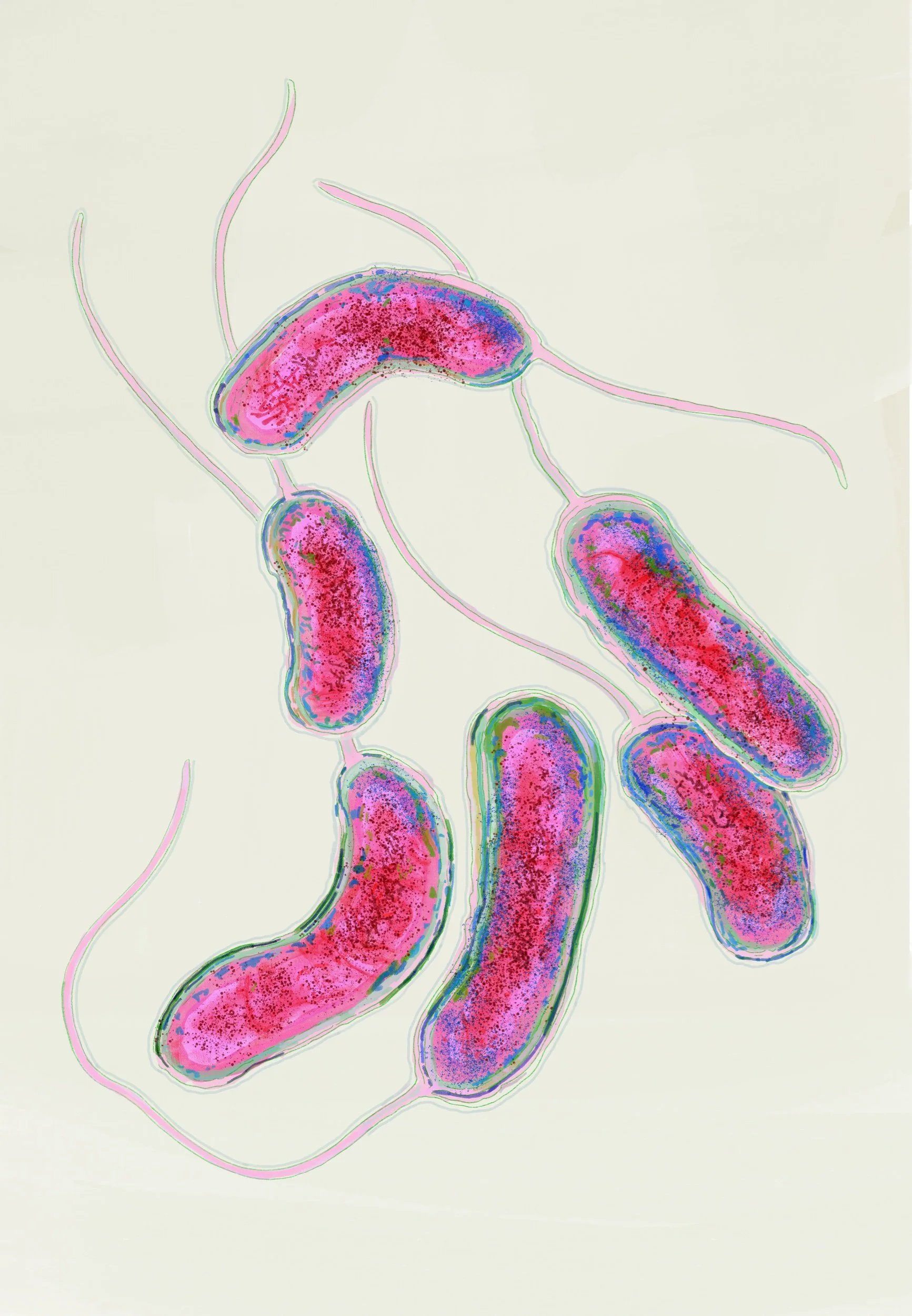 Cholera_Bacterium_01.jpeg