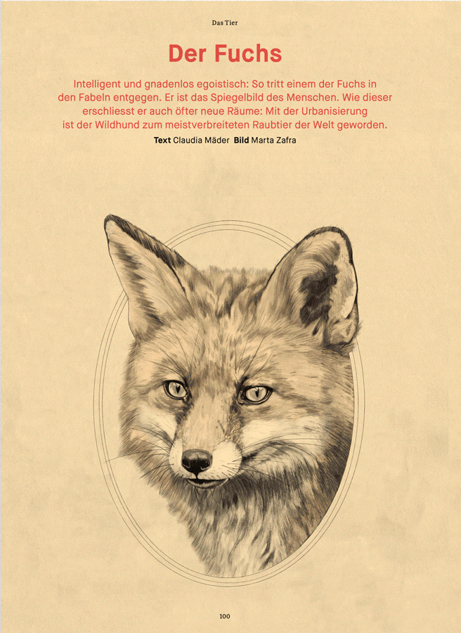 Marta-Animals_nzz.gif
