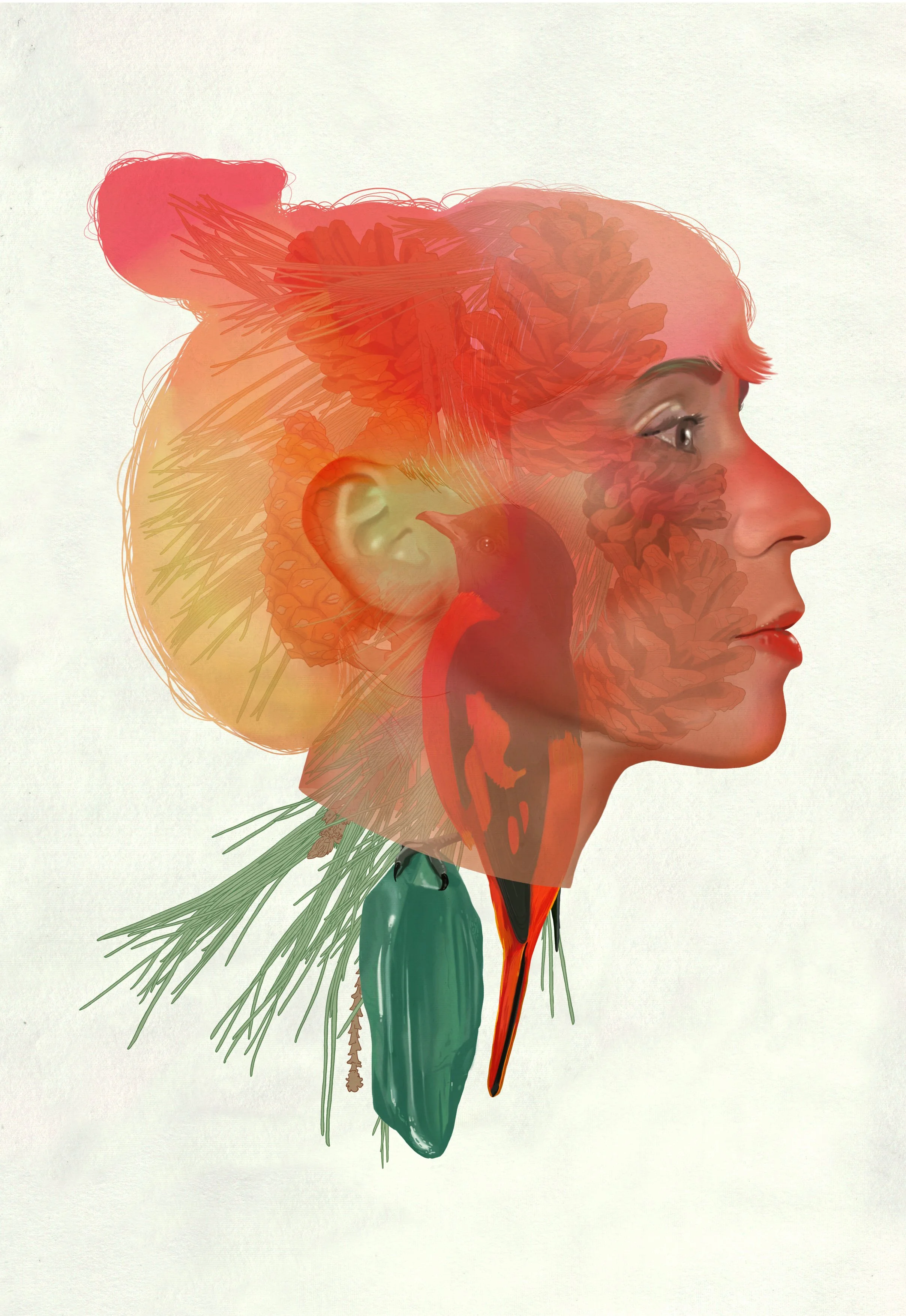 mzafra_Transparent_01_P.jpg