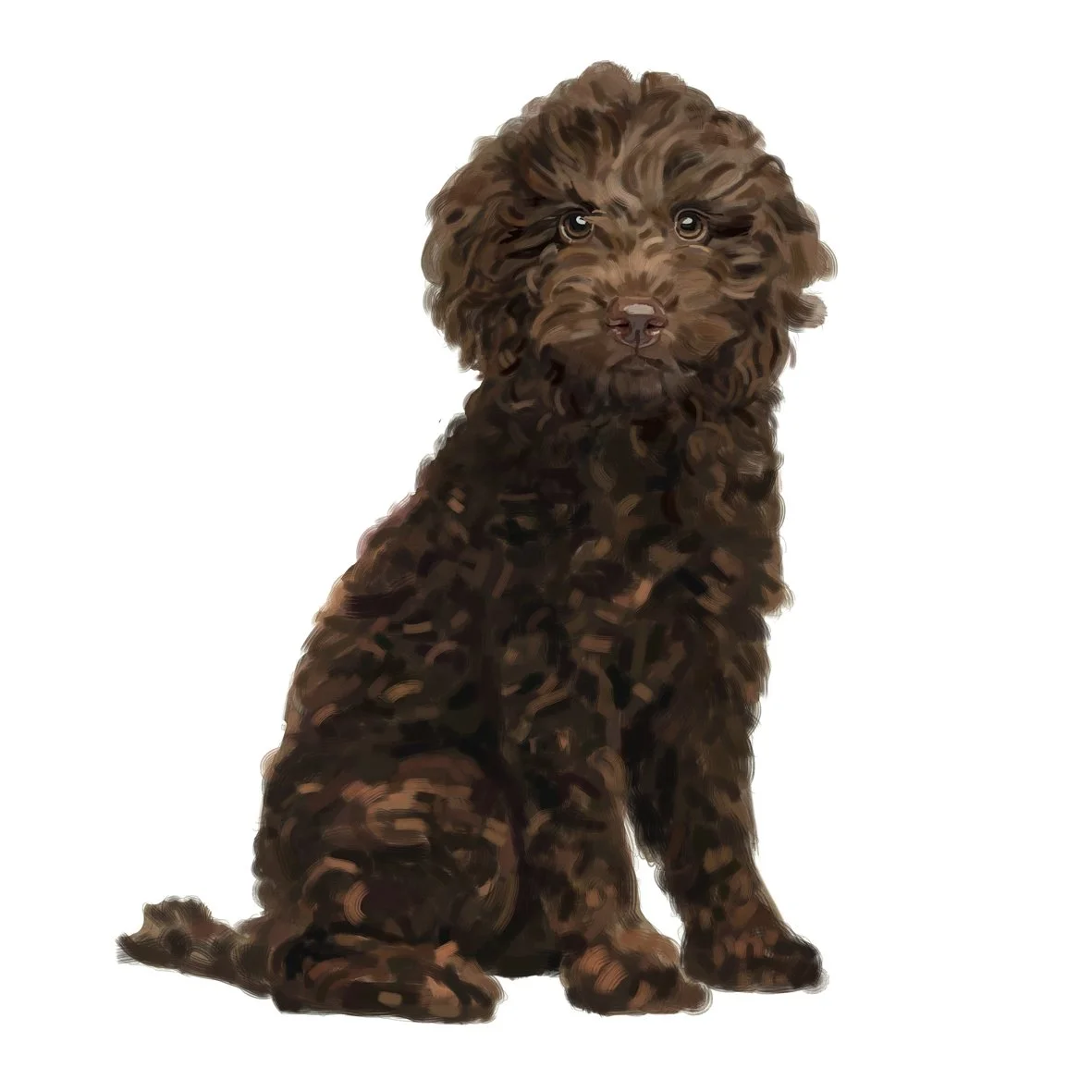 poodle