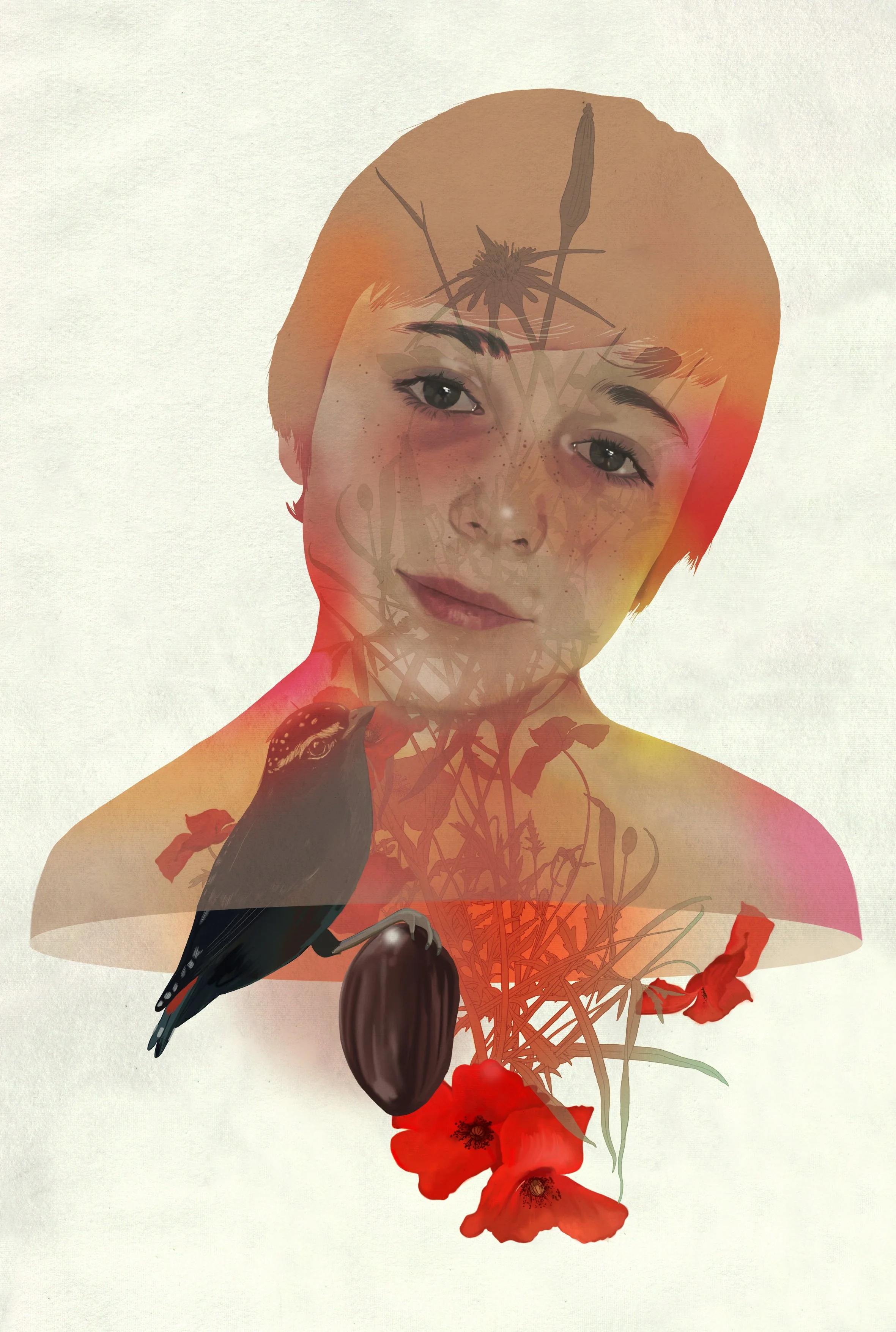 mzafra_Transparent_03_P.jpg
