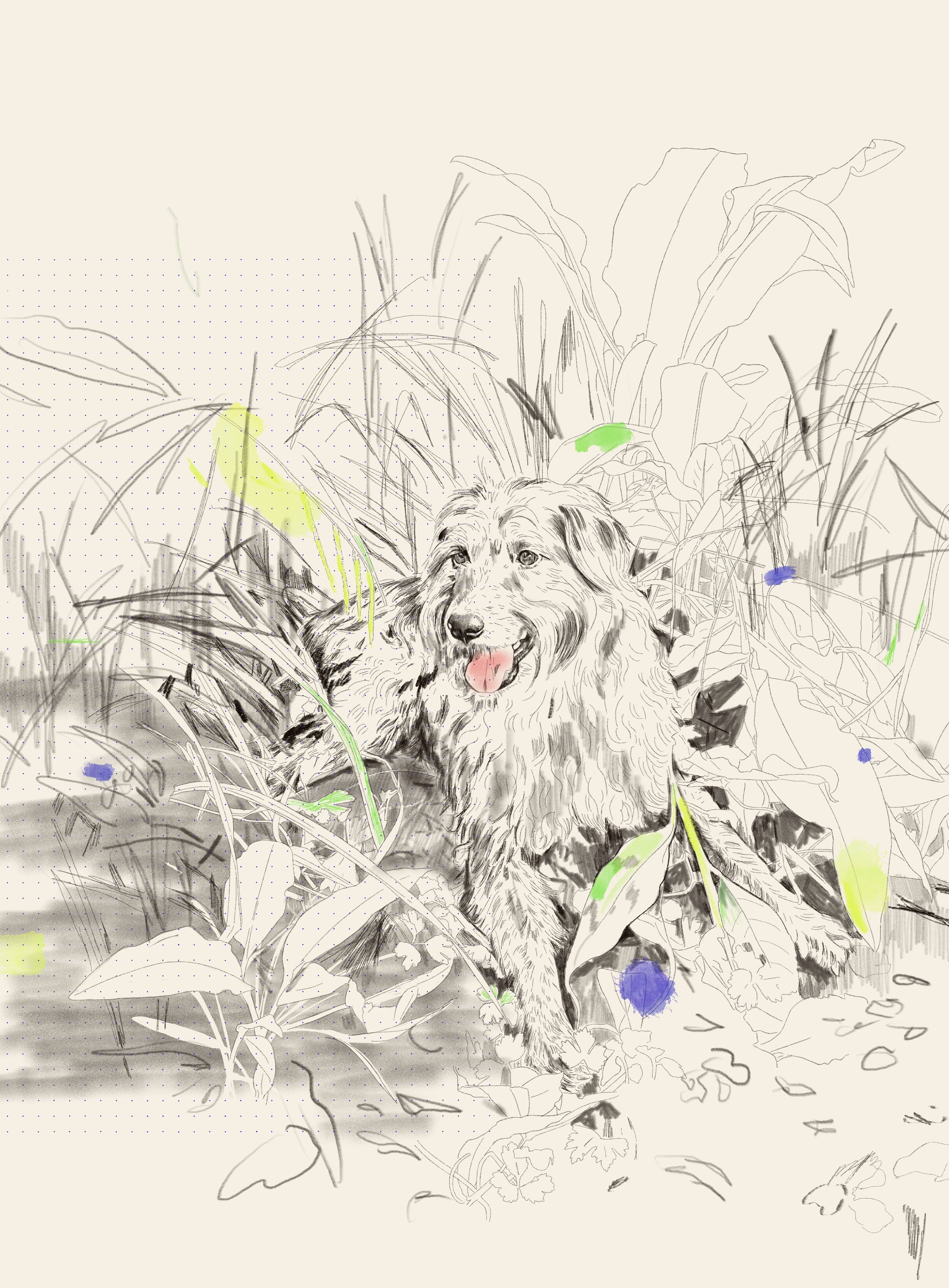 IMG_8138.jpeg