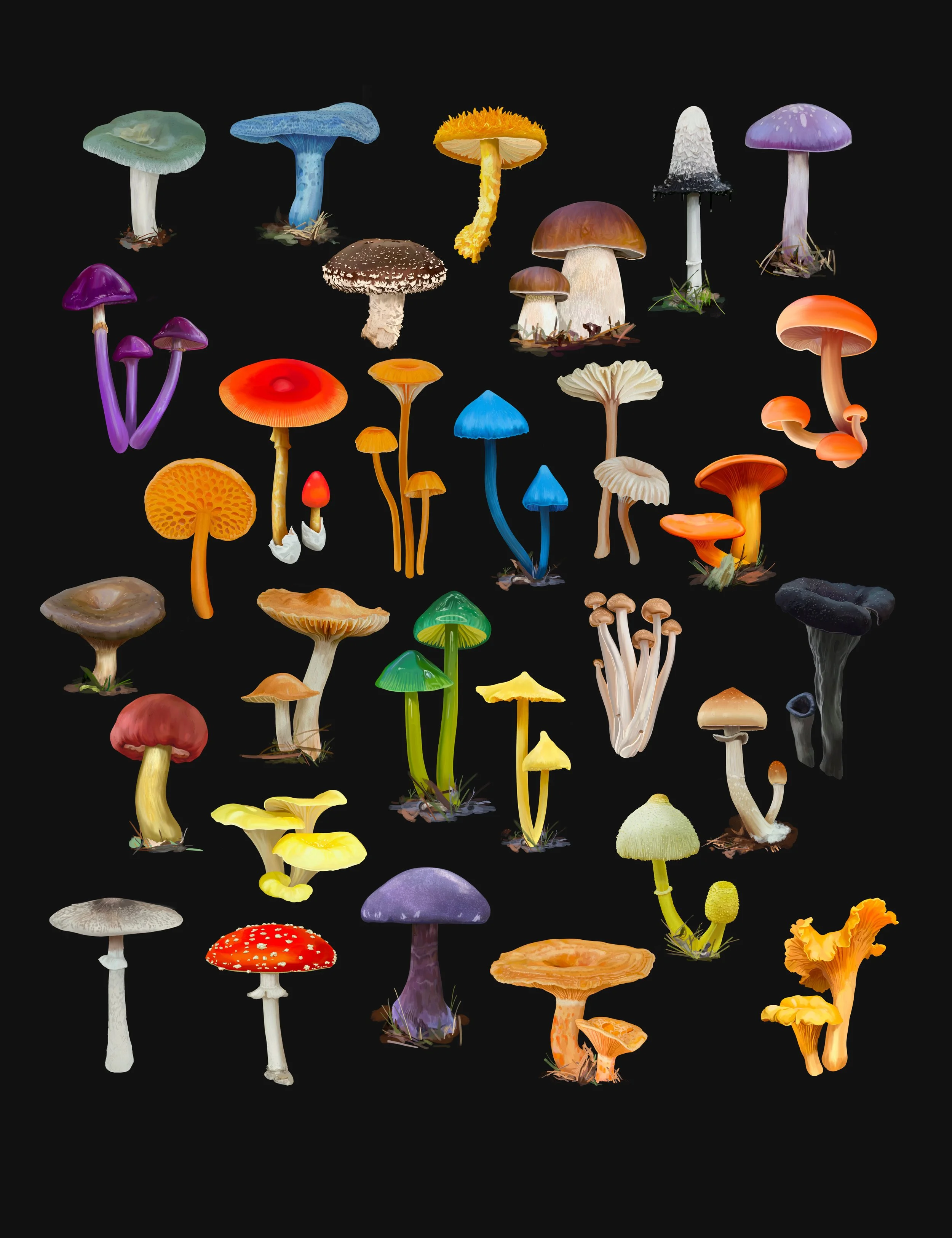 m_zafra_muestrario_hongos_black.jpg